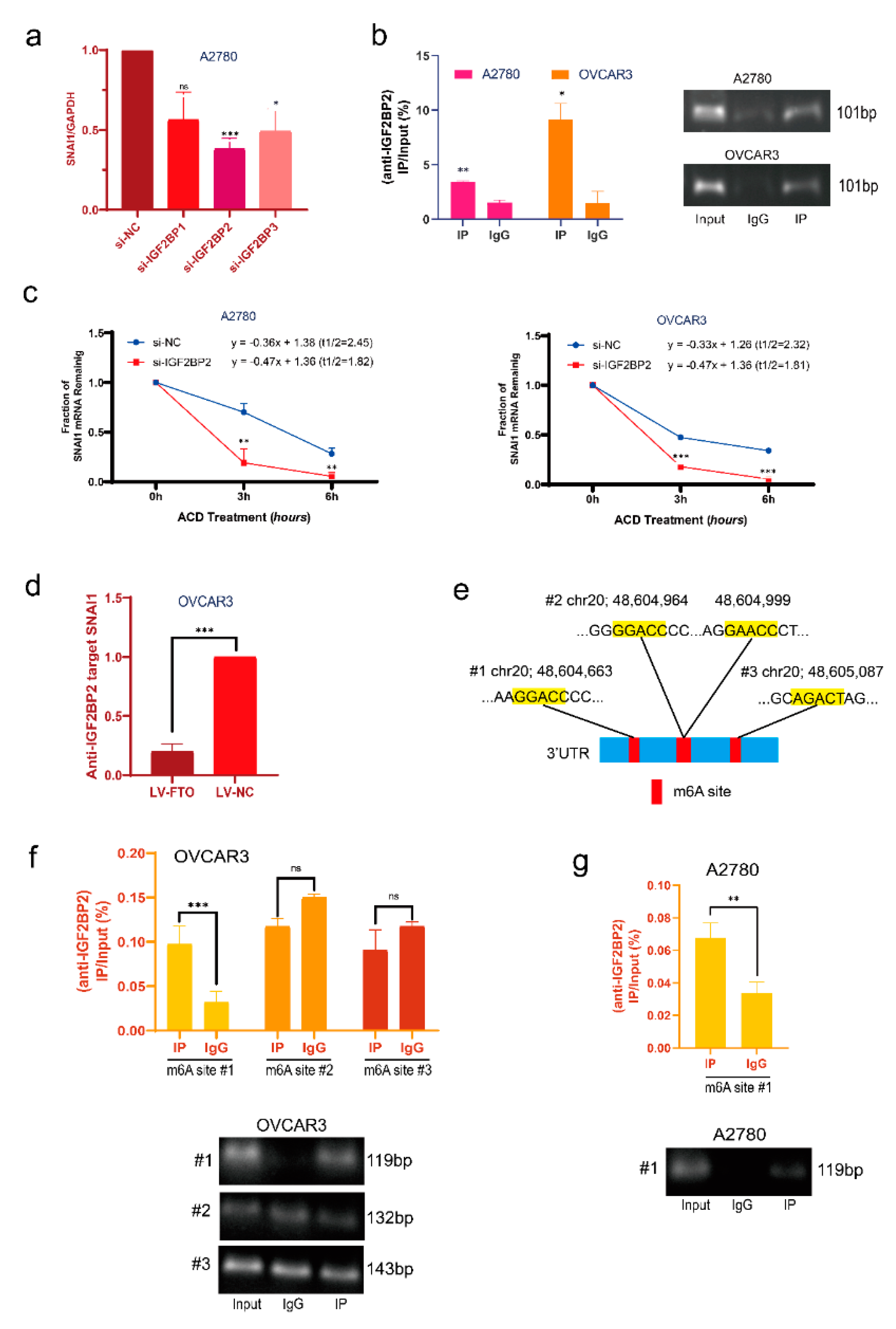 Cancers 14 05218 g005