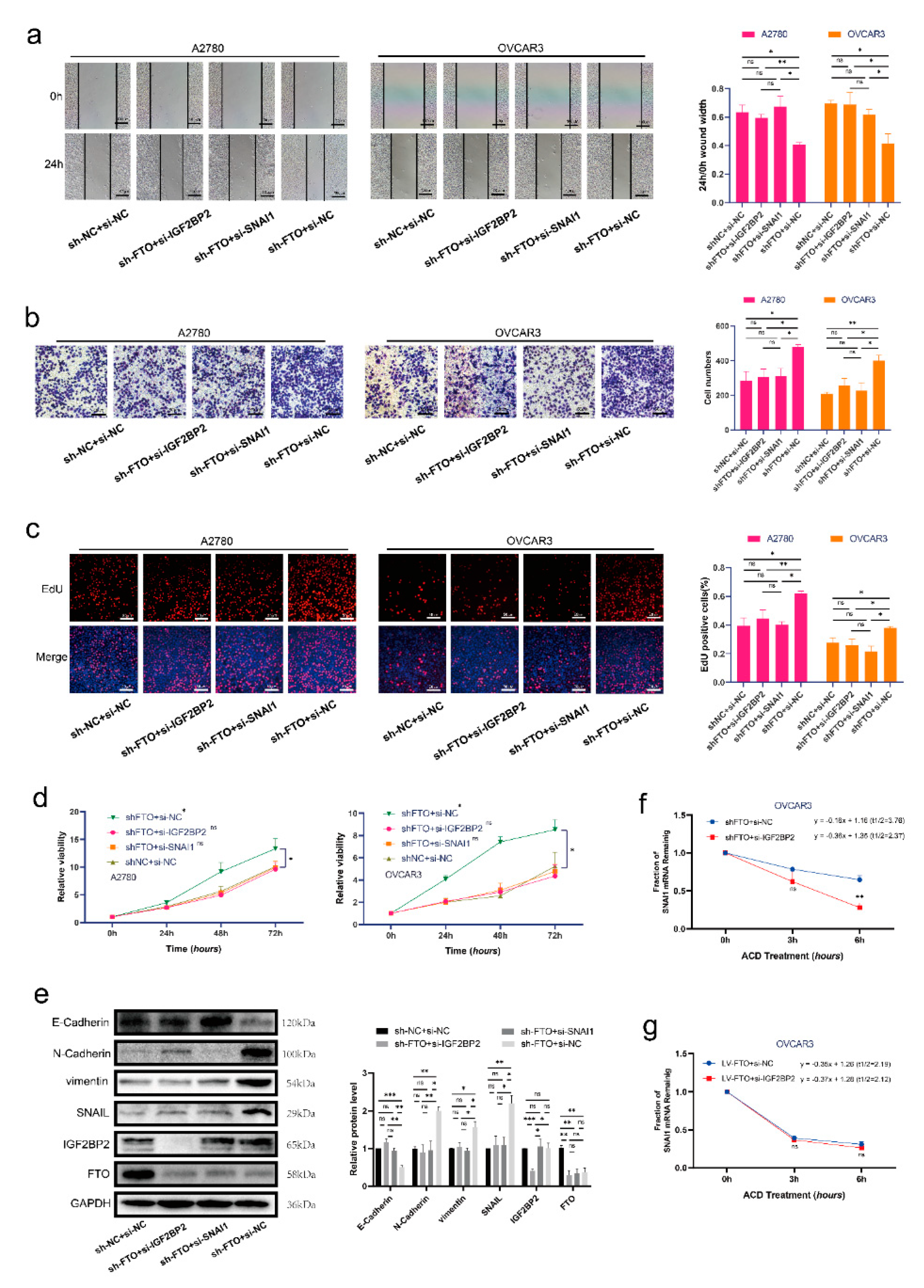 Cancers 14 05218 g006