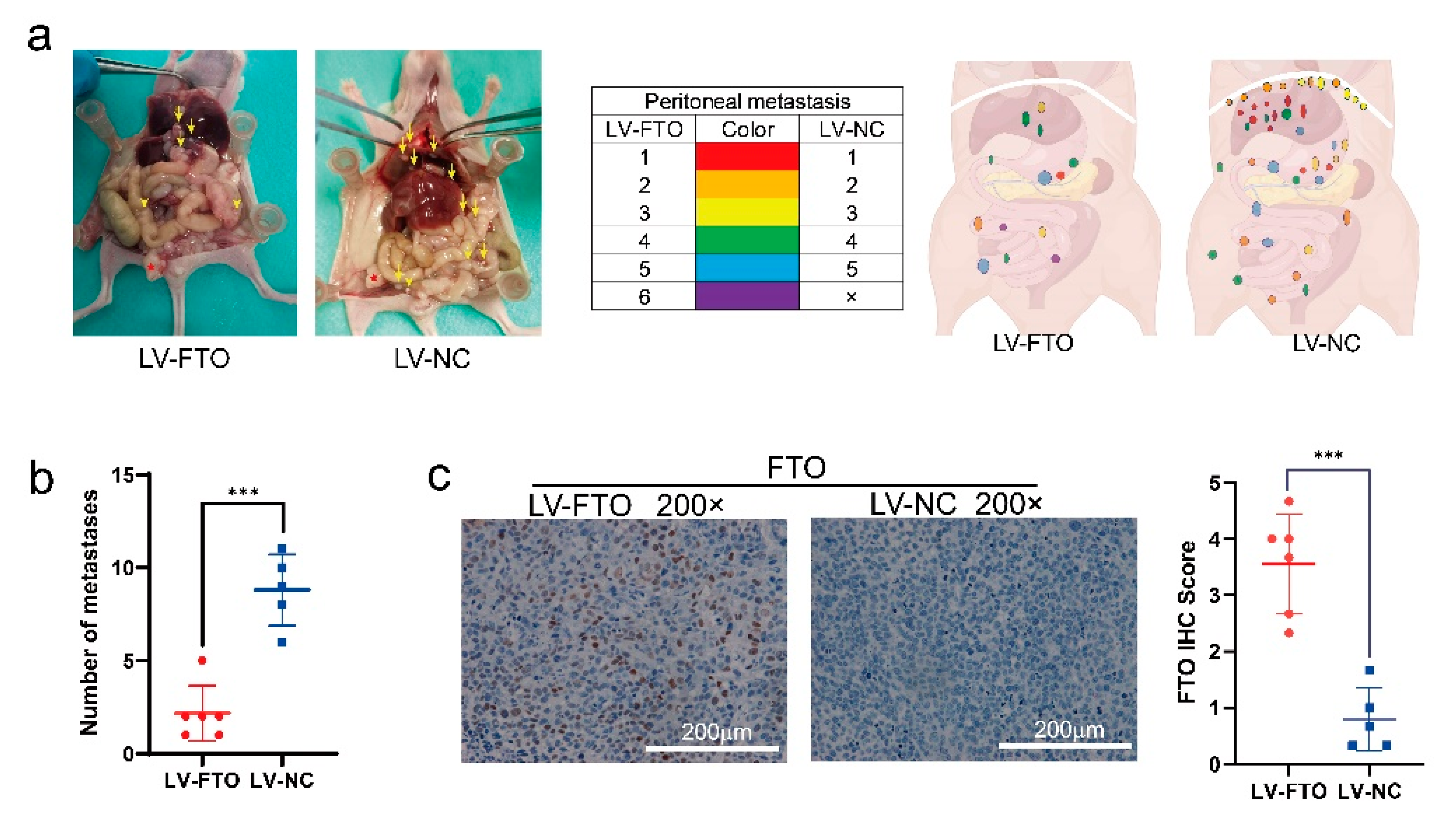 Cancers 14 05218 g008