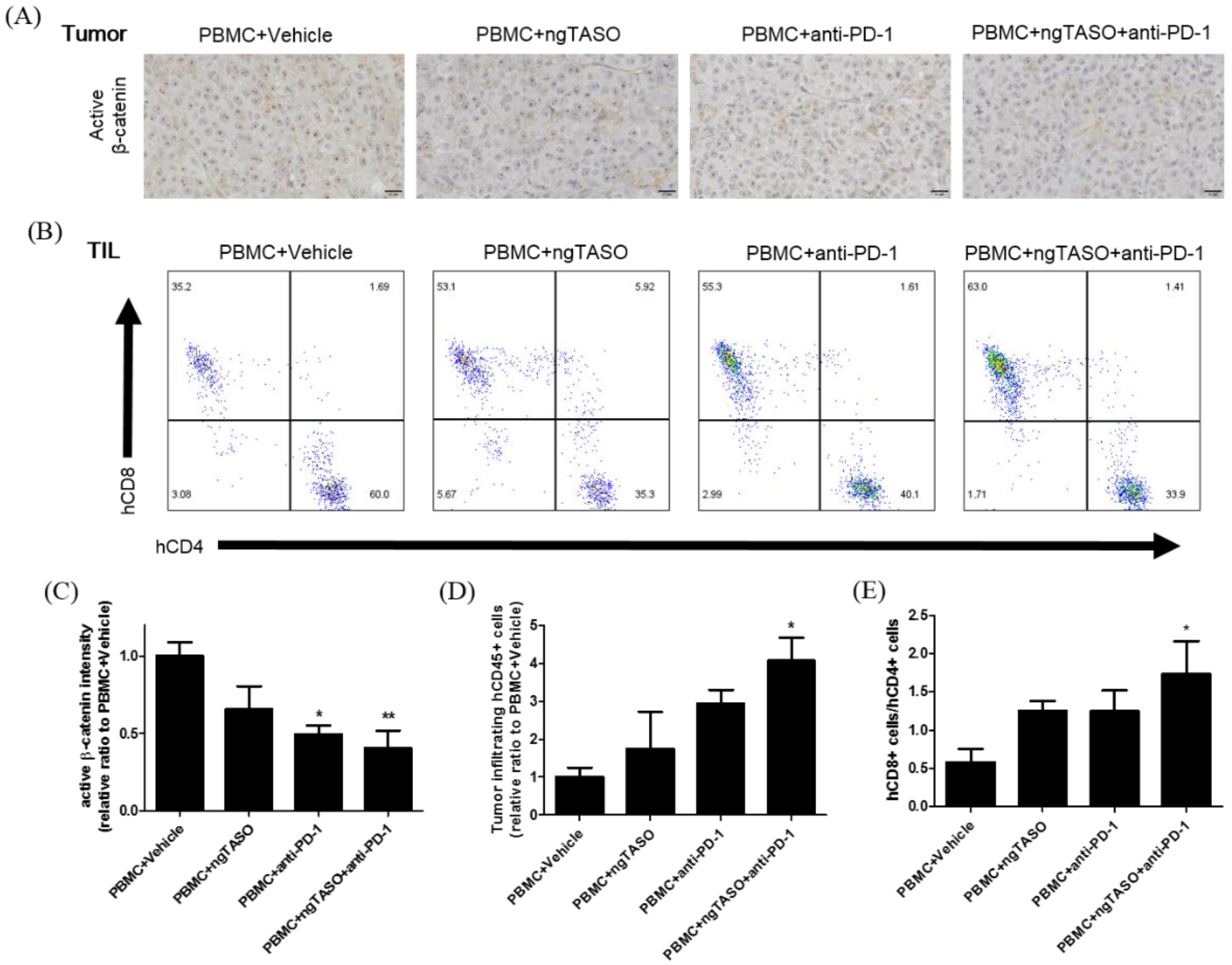 Cancers 14 05220 g004