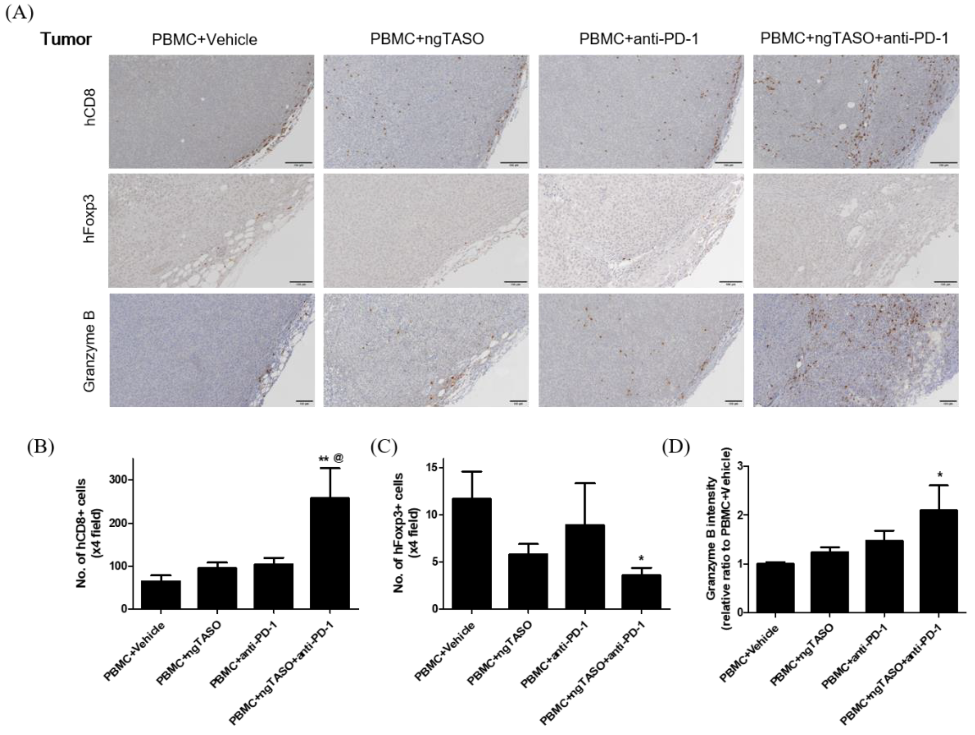 Cancers 14 05220 g006