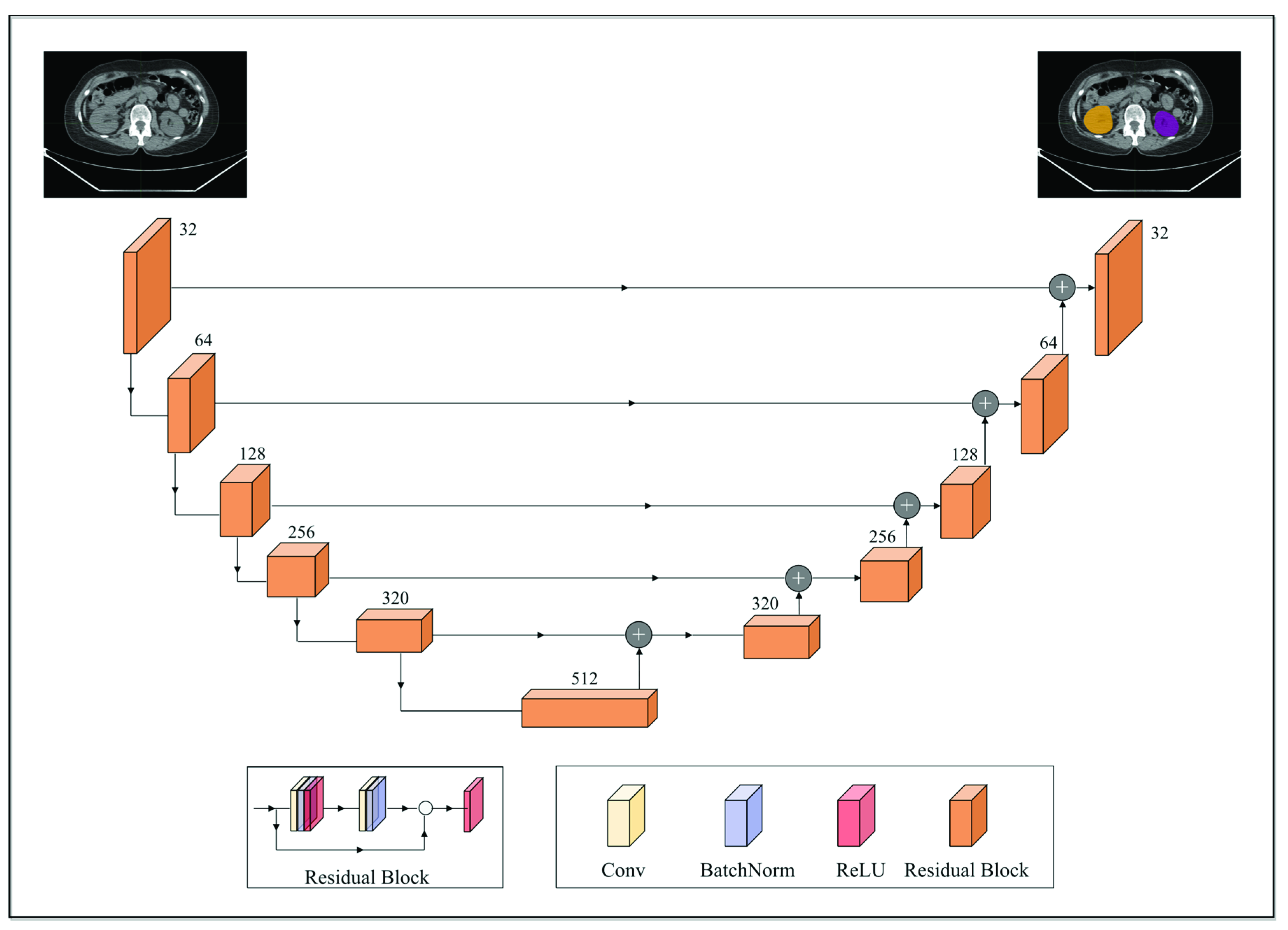 Cancers 14 05221 g001