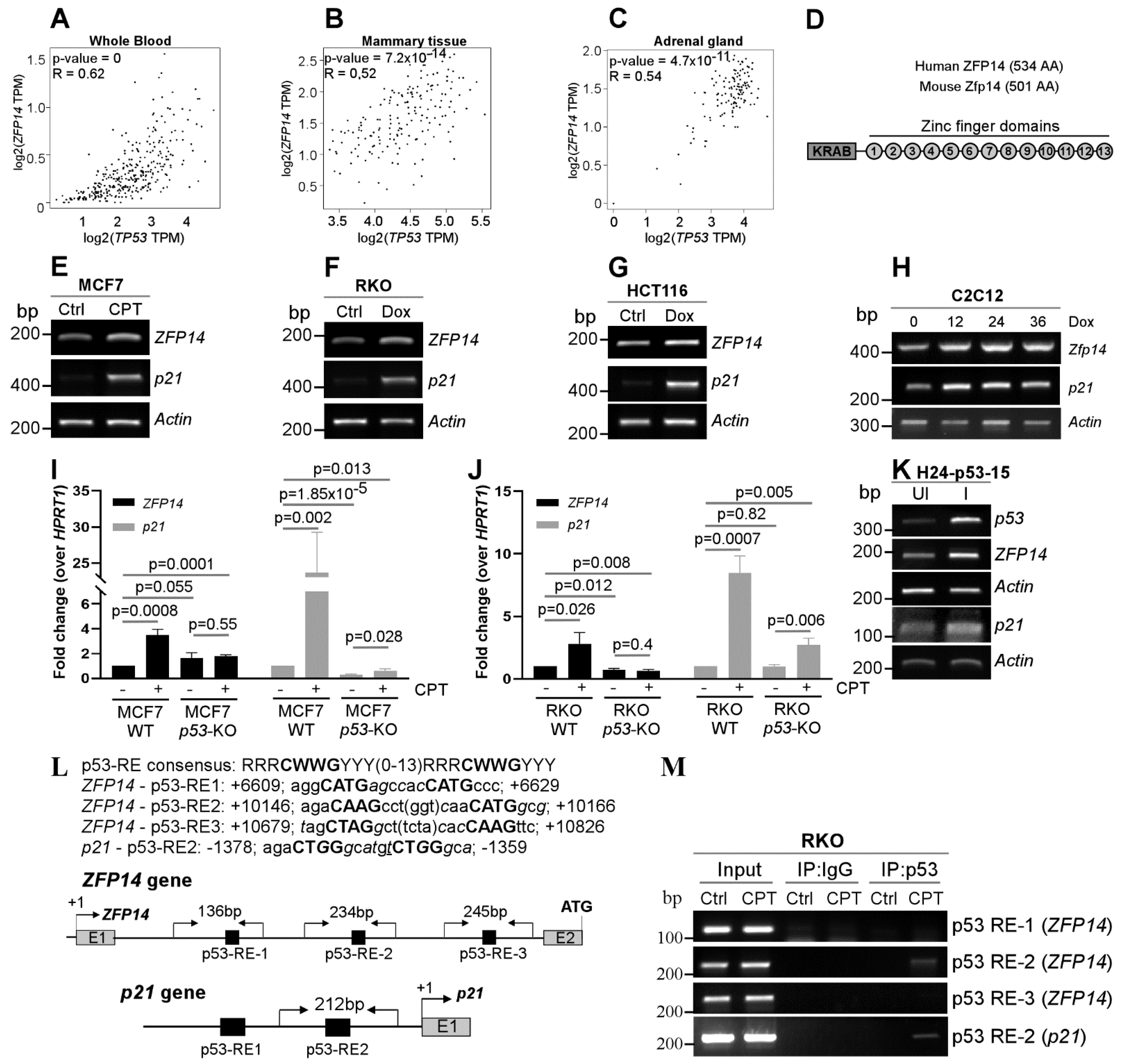 Cancers 14 05226 g001 Cancers 14 05226 g001