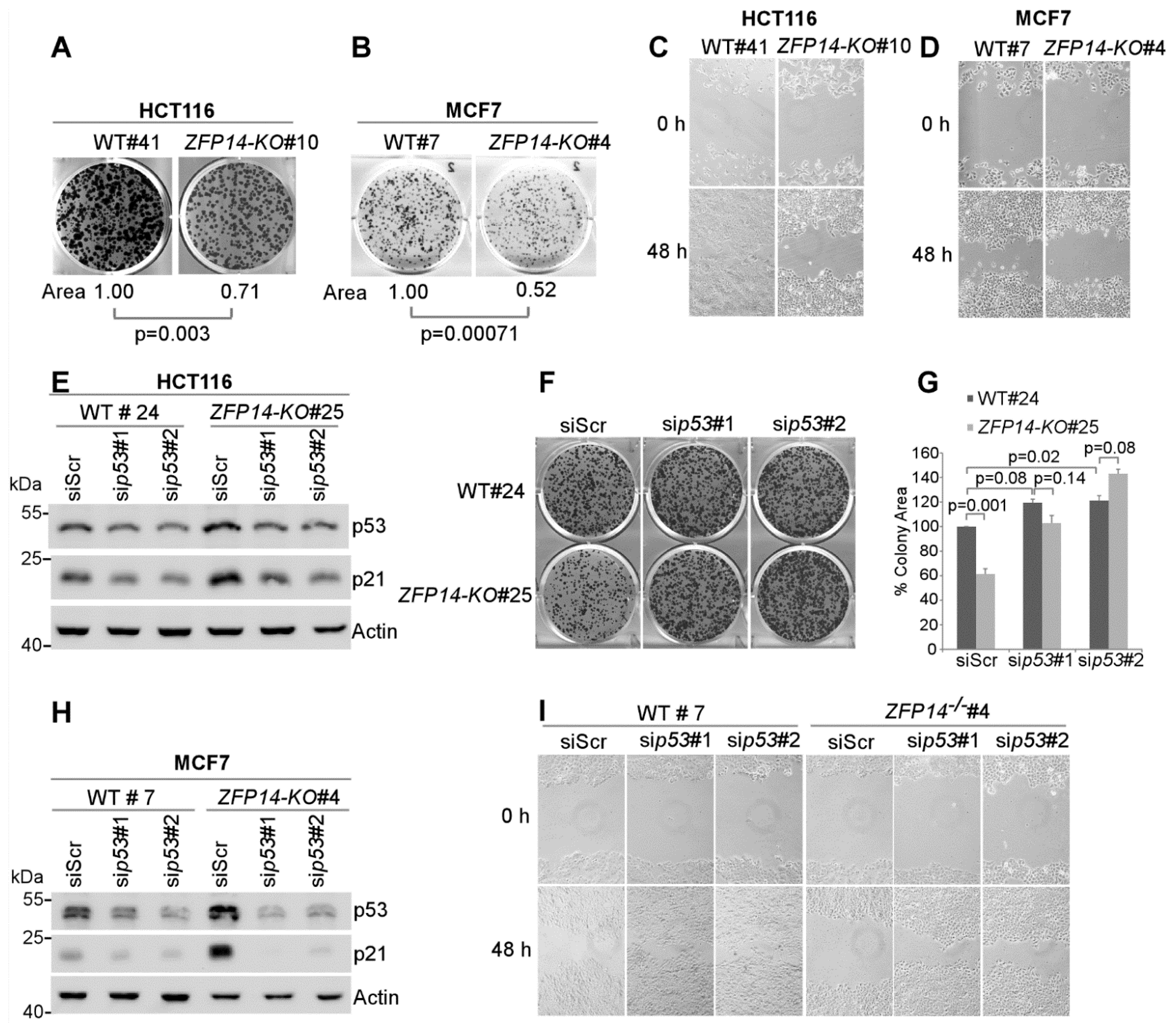Cancers 14 05226 g005 Cancers 14 05226 g005
