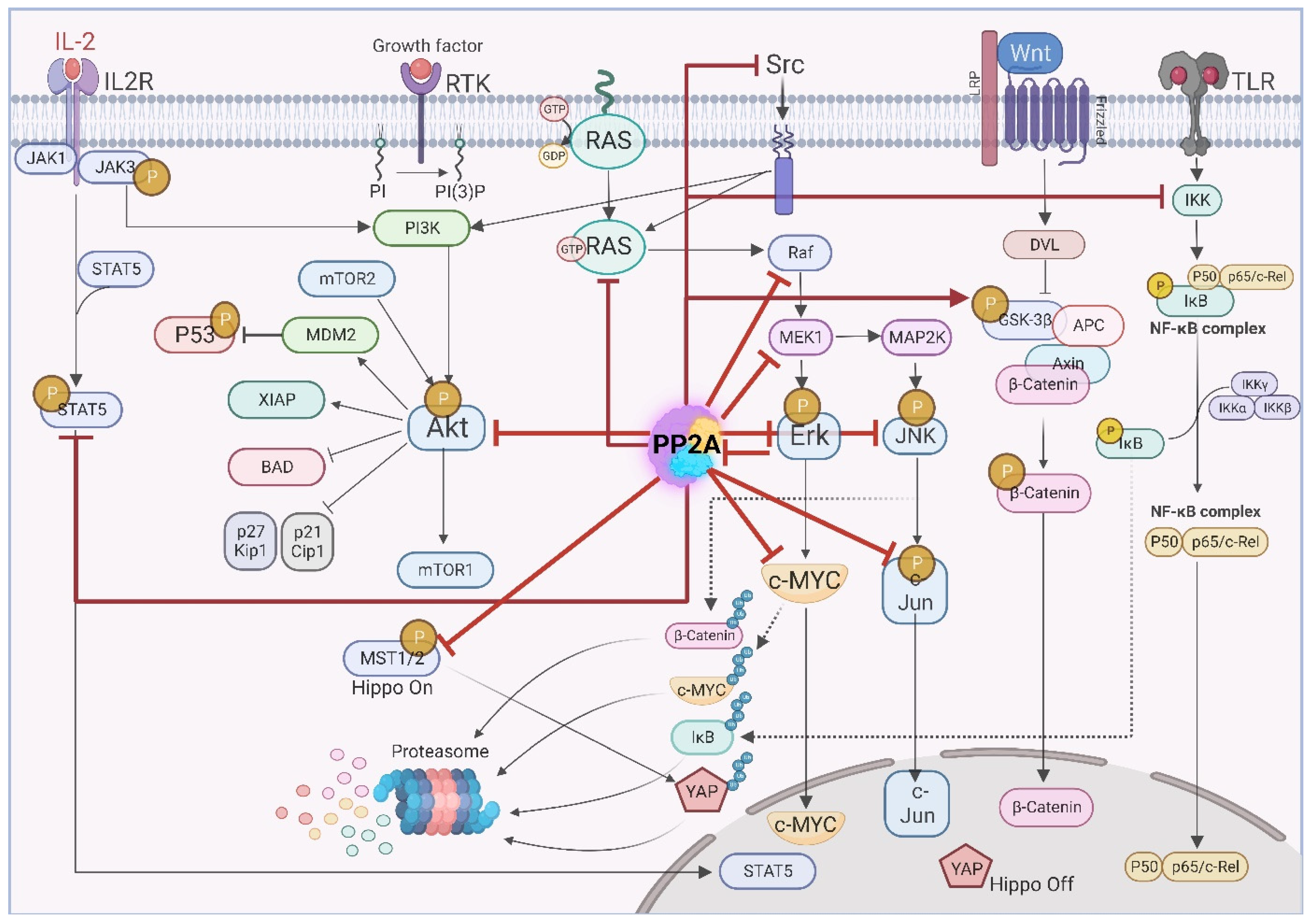 Cancers 14 05227 g003 Cancers 14 05227 g003