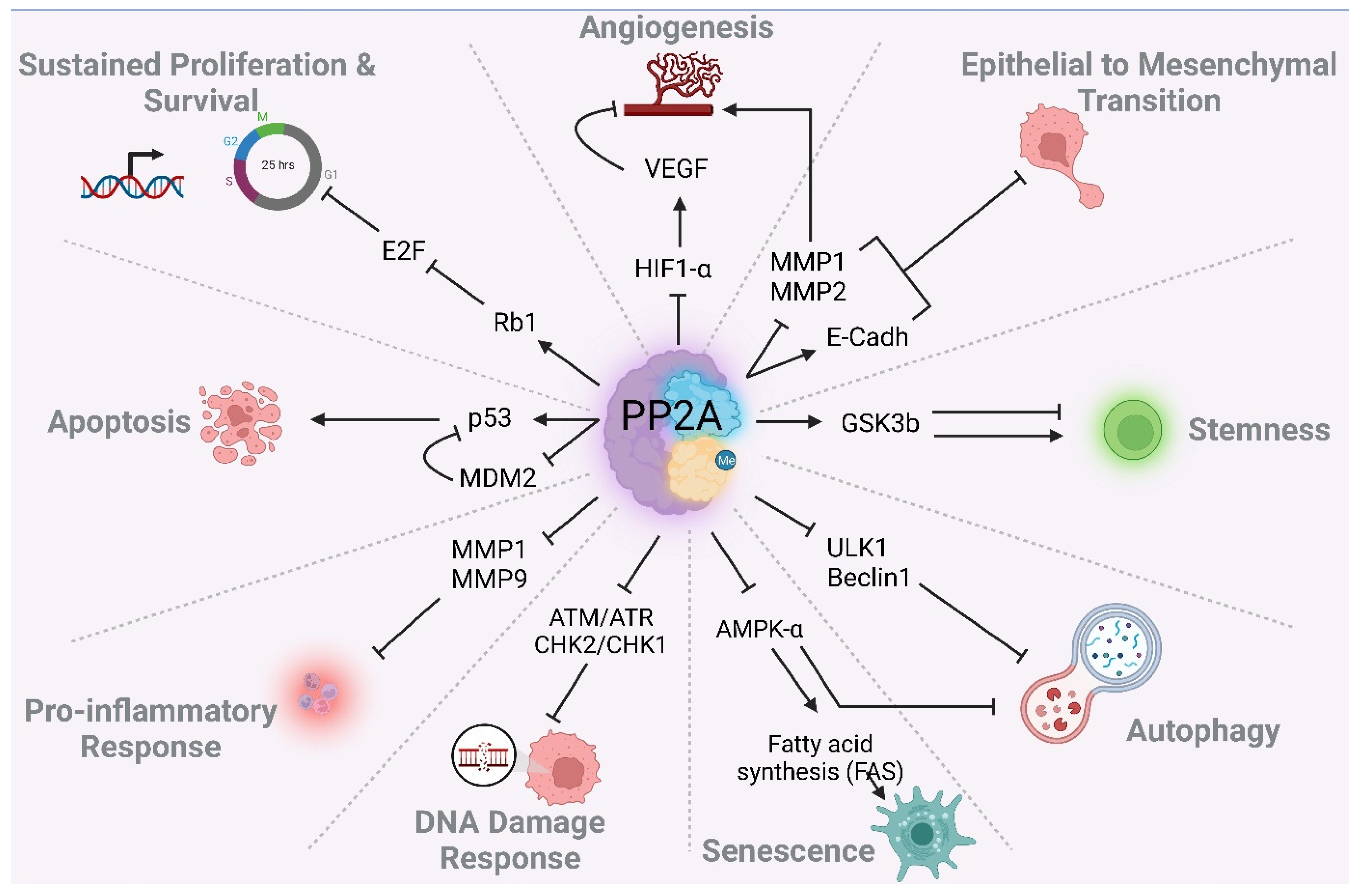 Cancers 14 05227 g005 Cancers 14 05227 g005