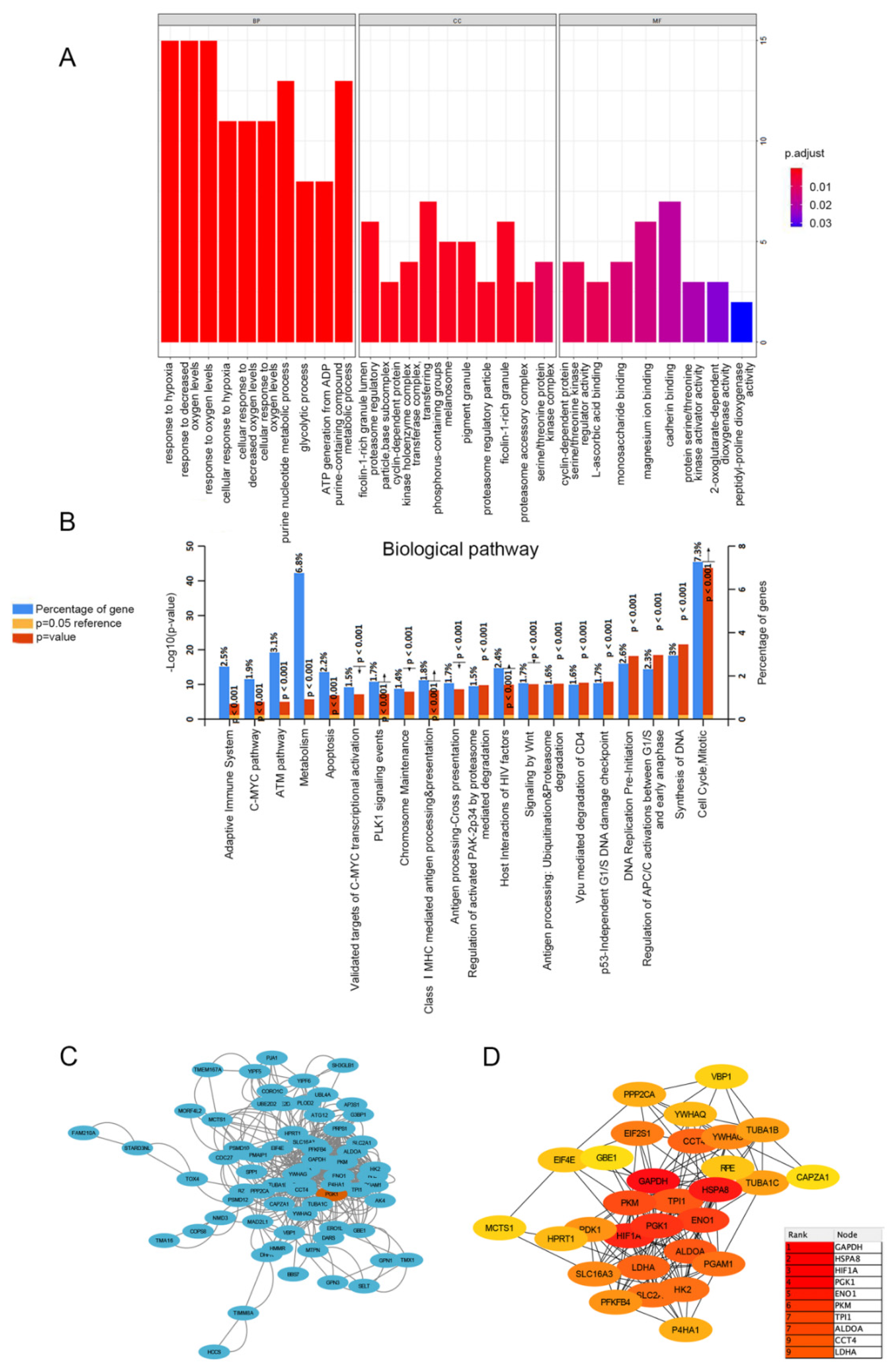 Cancers 14 05228 g003 Cancers 14 05228 g003