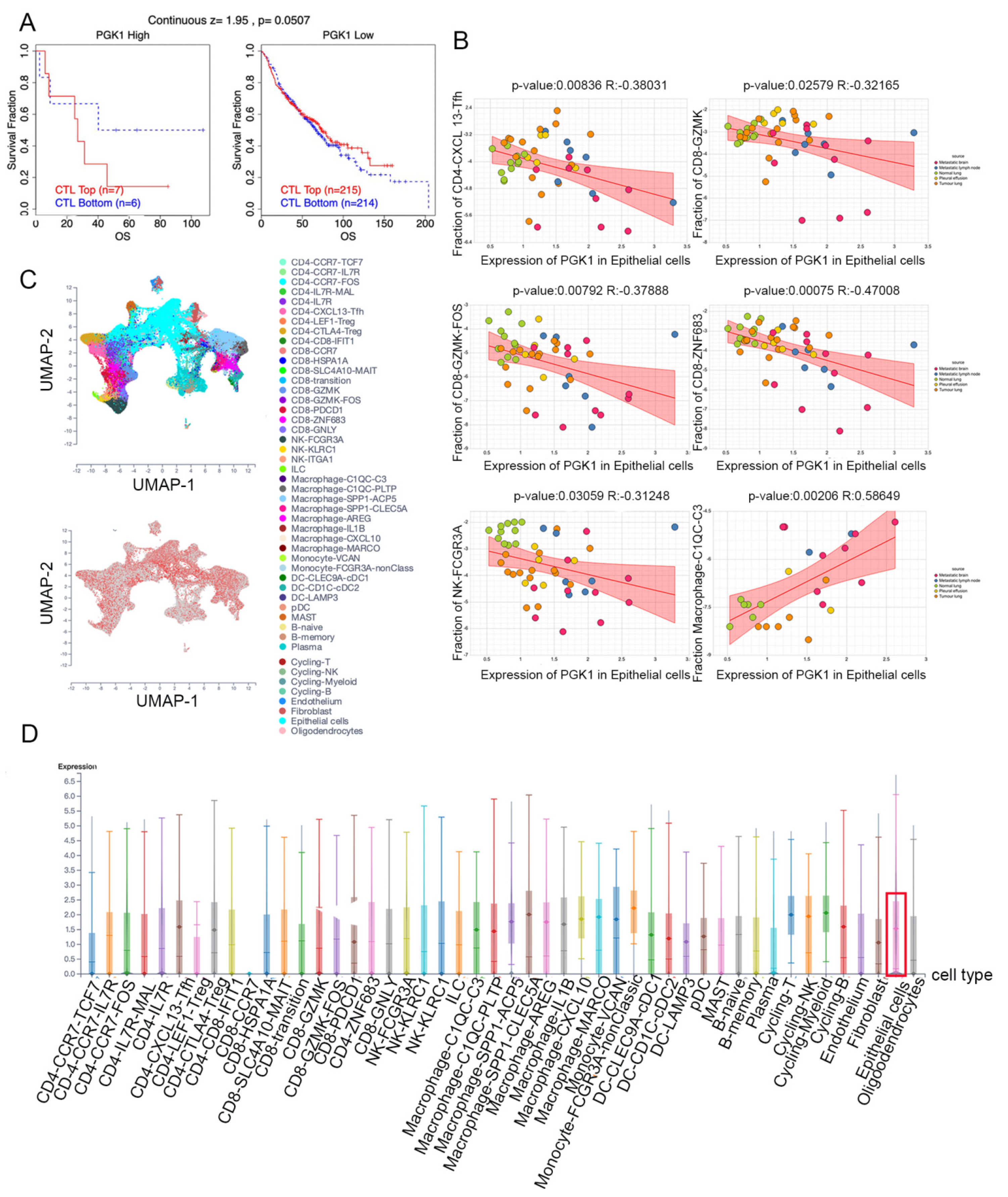 Cancers 14 05228 g008 Cancers 14 05228 g008
