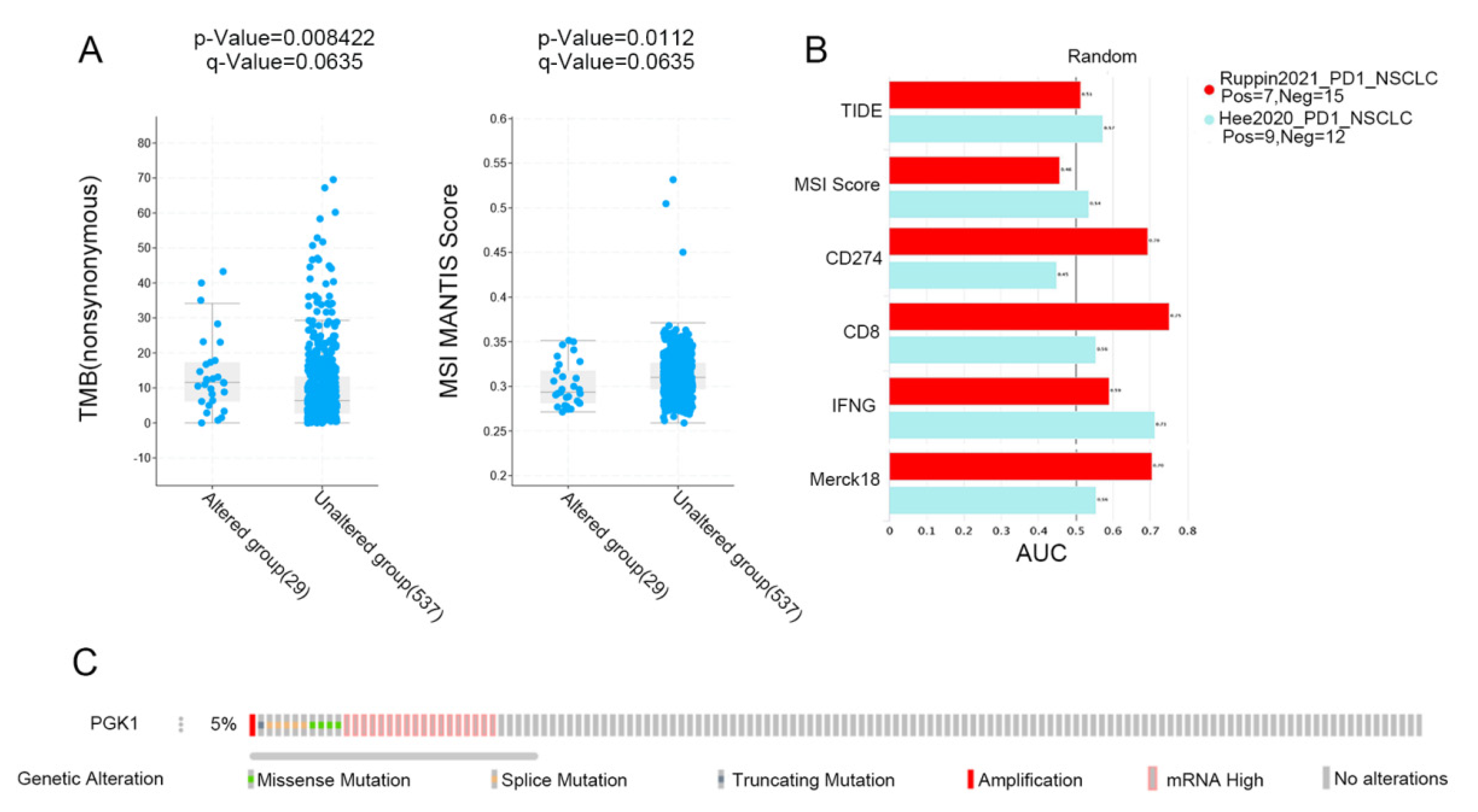 Cancers 14 05228 g009 Cancers 14 05228 g009