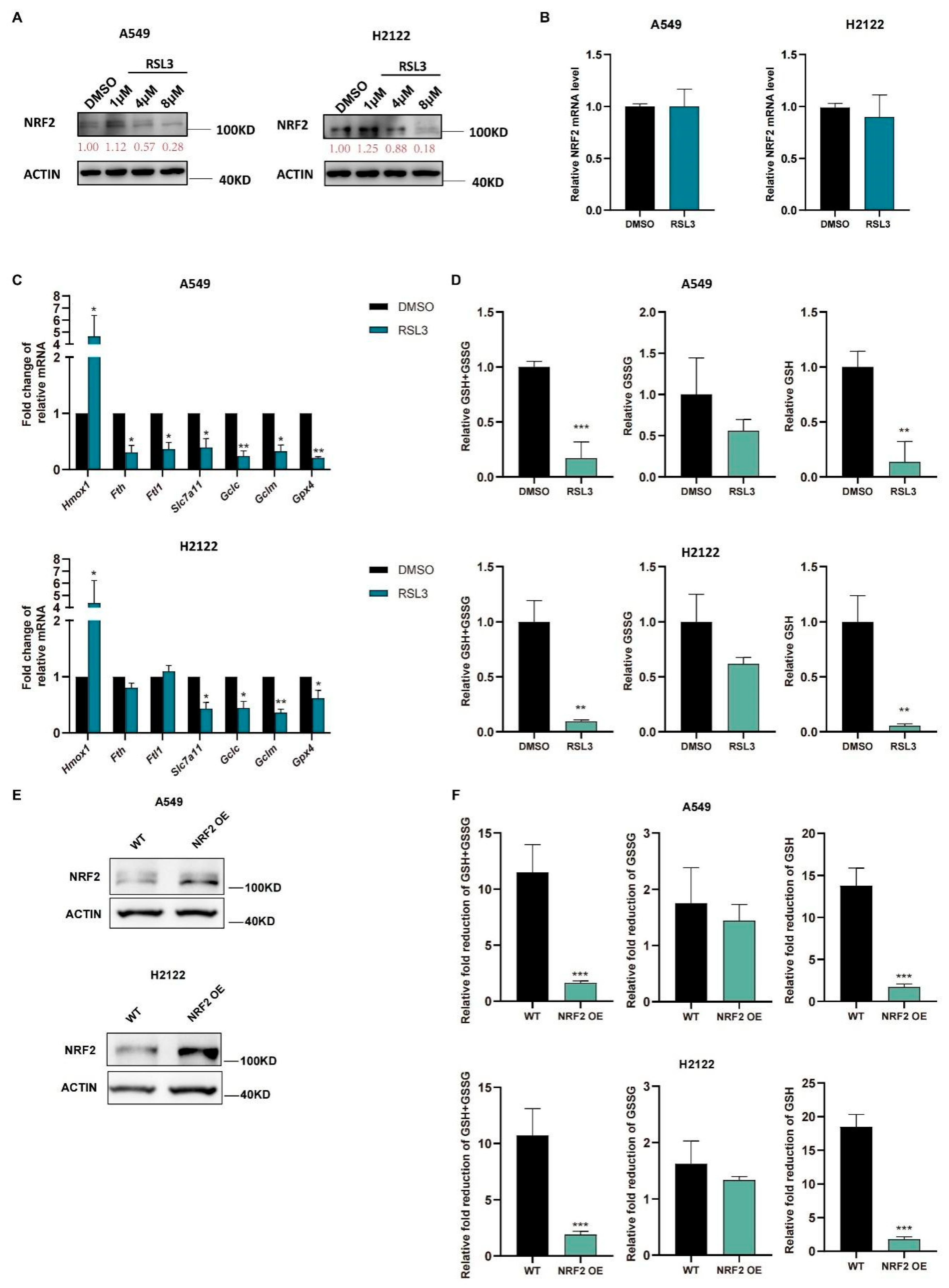 Cancers 14 05233 g003 Cancers 14 05233 g003