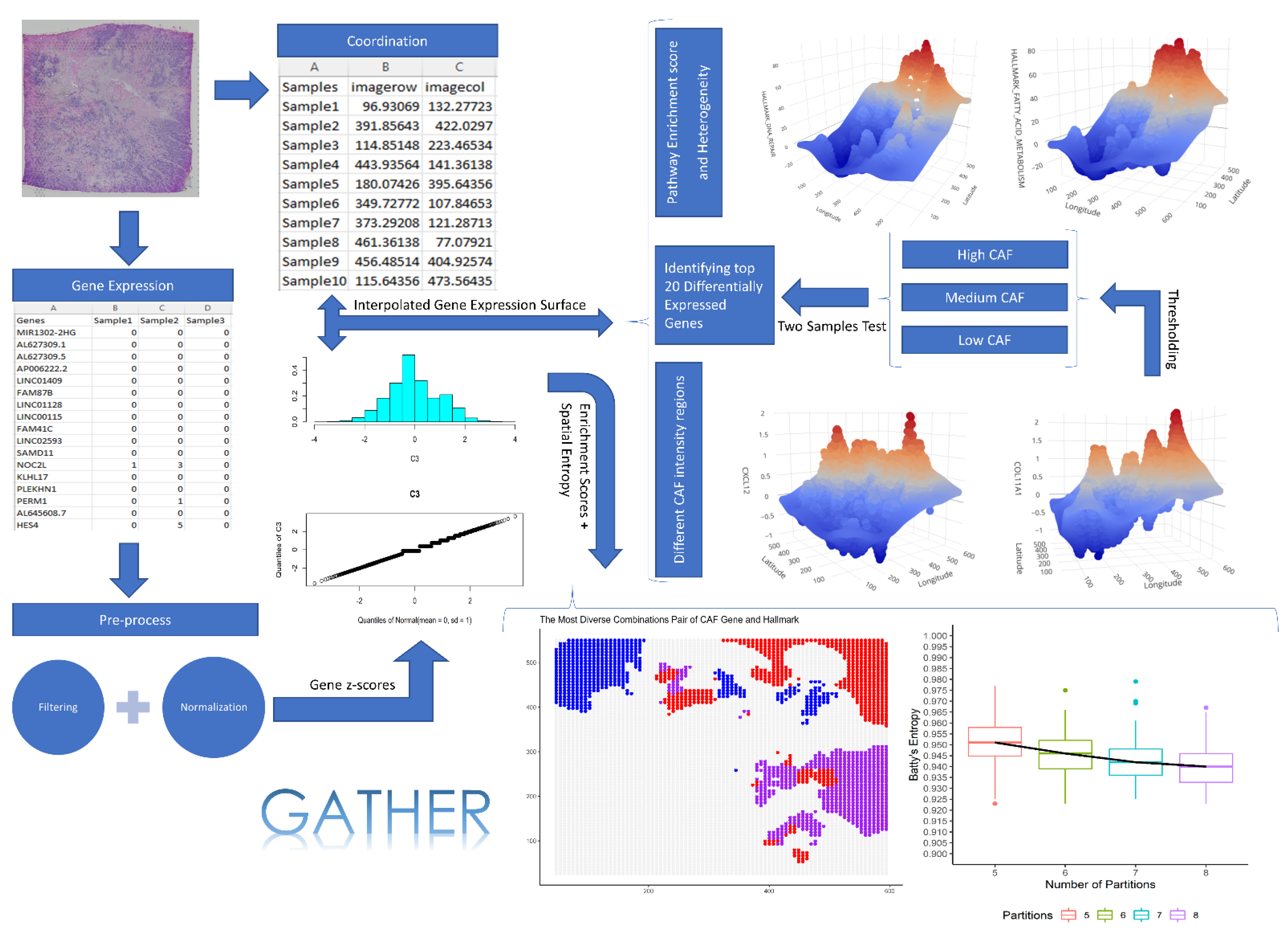 Cancers 14 05235 g001 Cancers 14 05235 g001