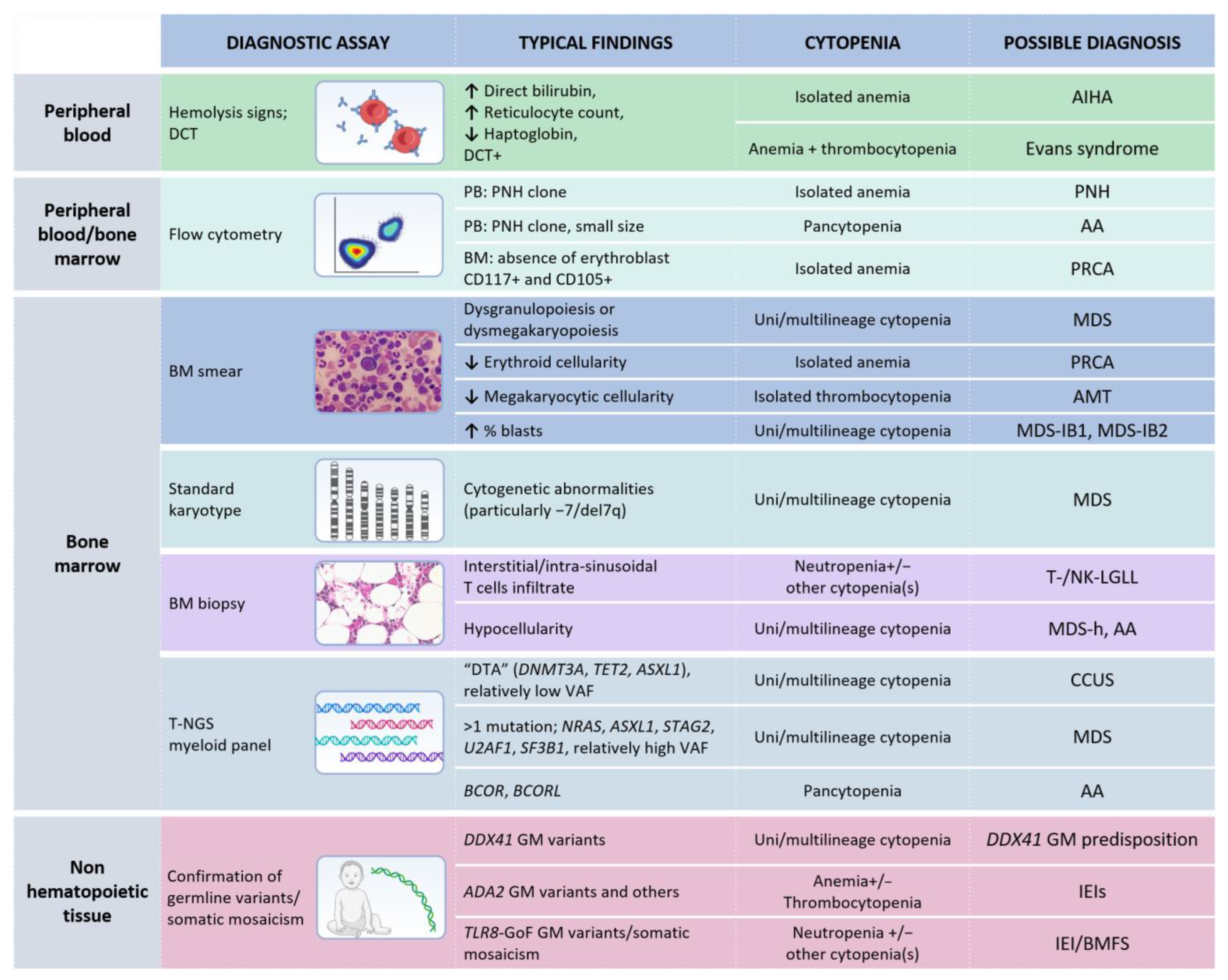 Cancers 14 05236 g003