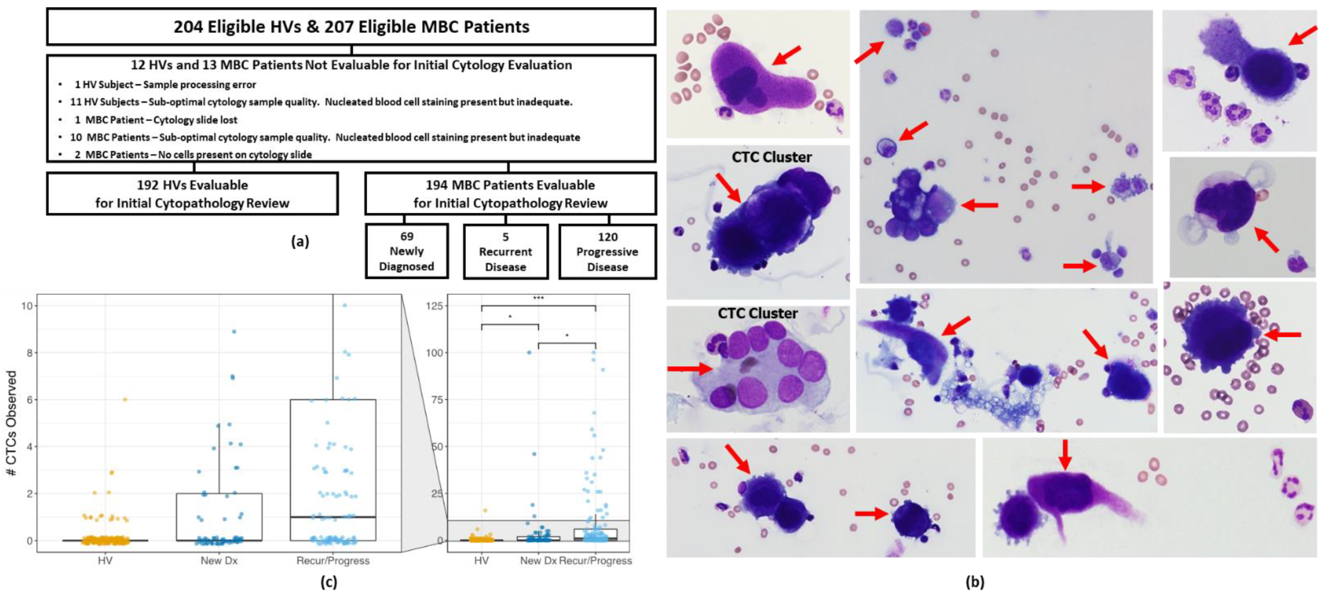 Cancers 14 05238 g002