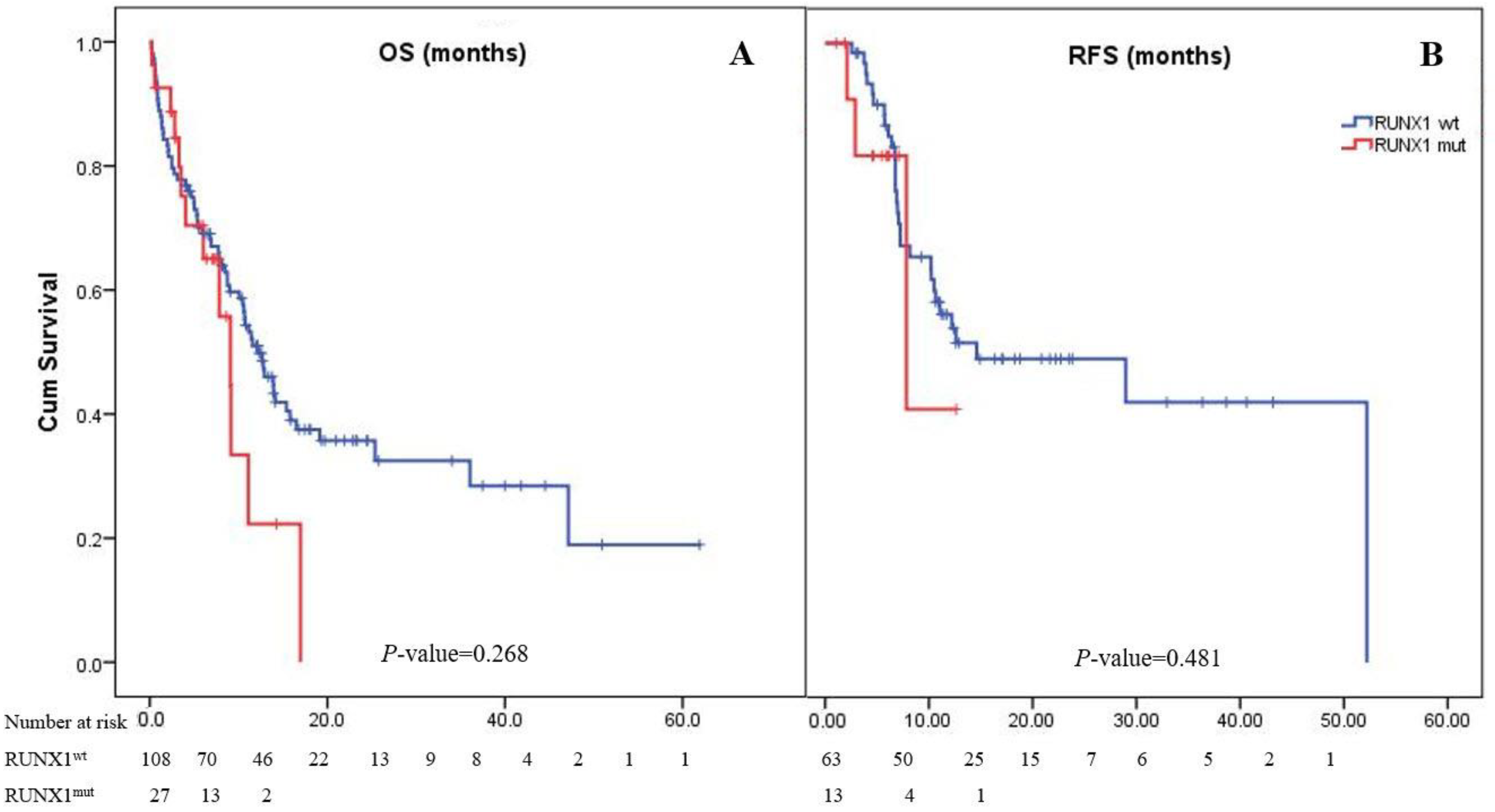 Cancers 14 05239 g001