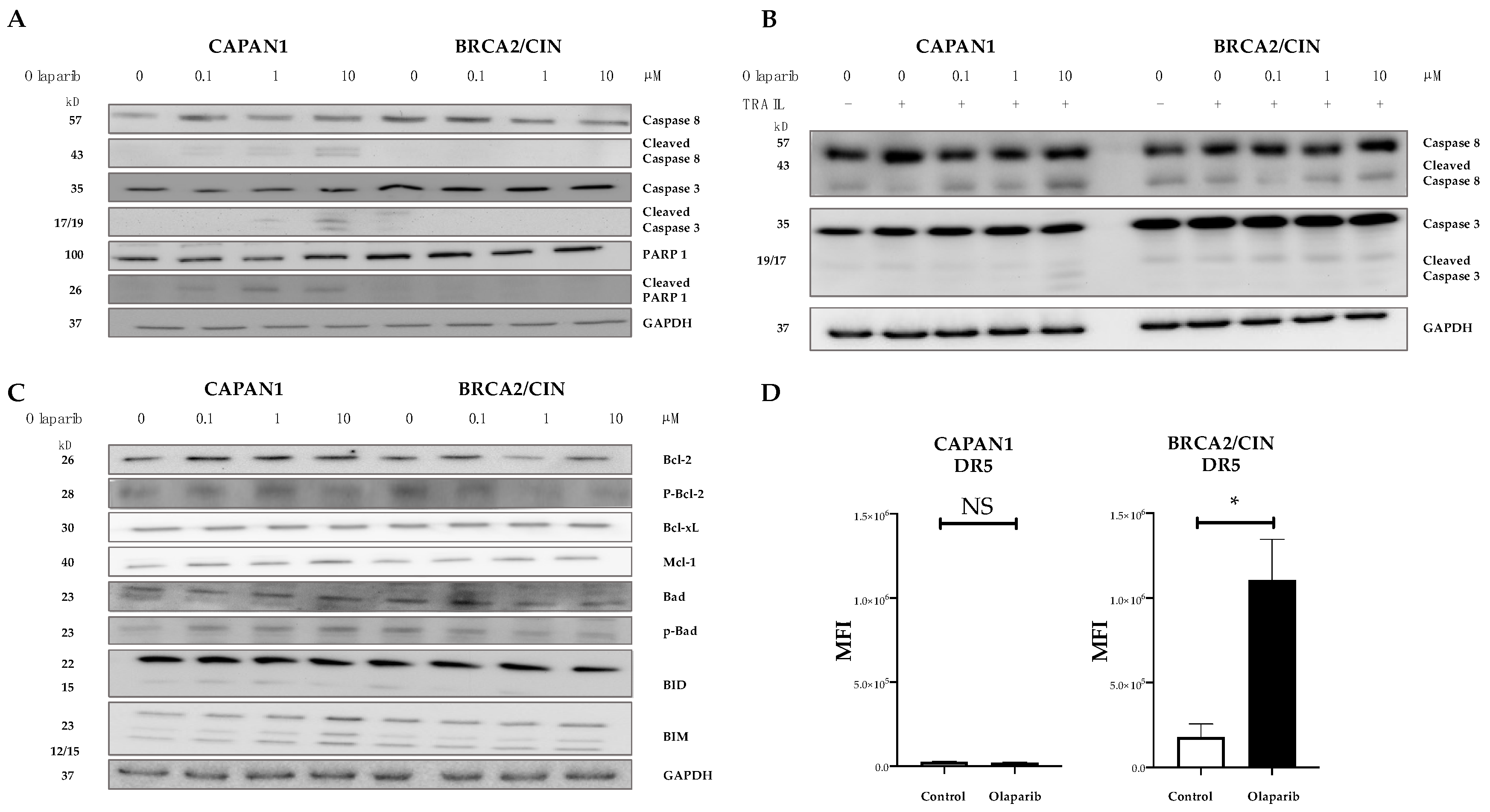 Cancers 14 05240 g005 Cancers 14 05240 g005