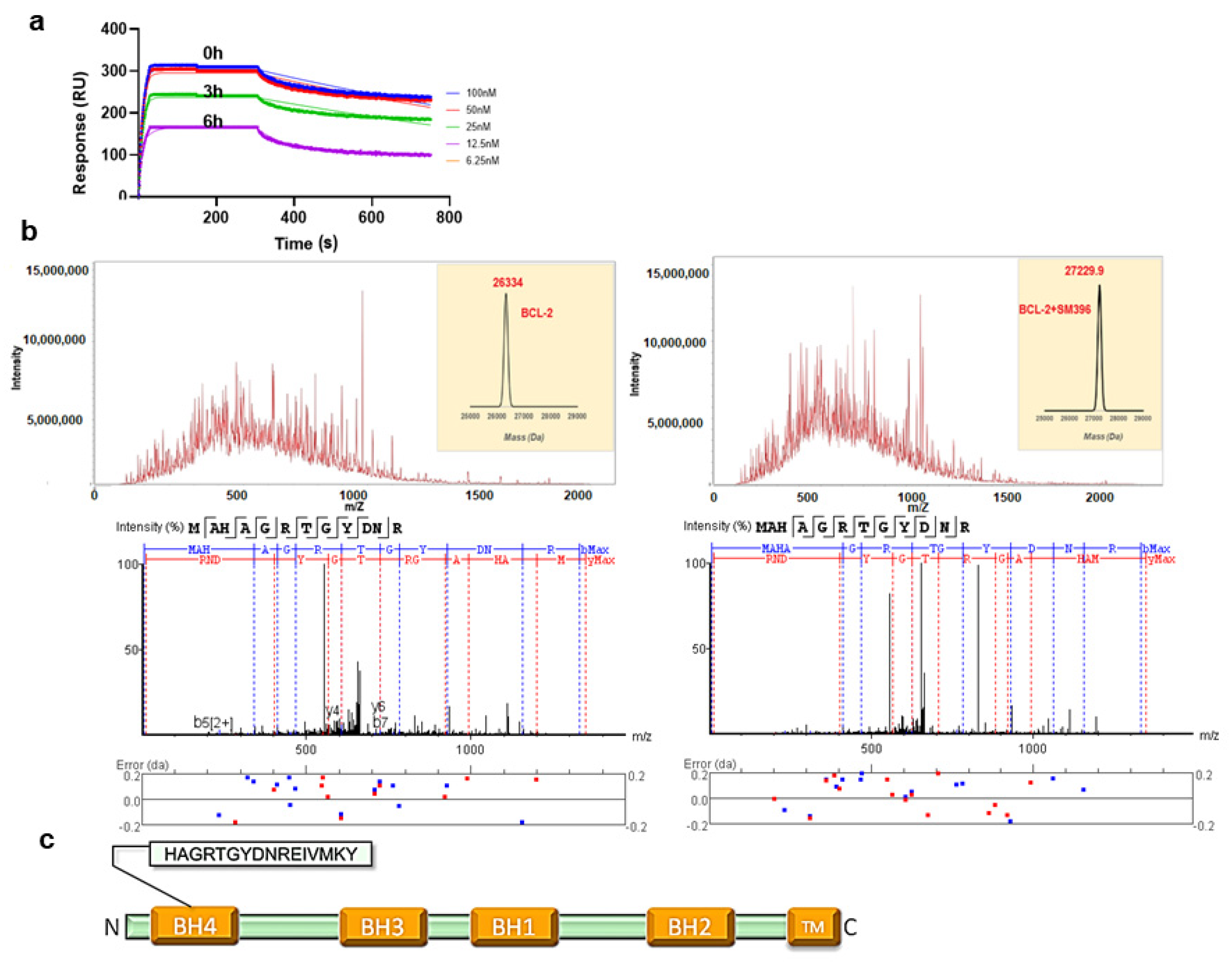 Cancers 14 05241 g002