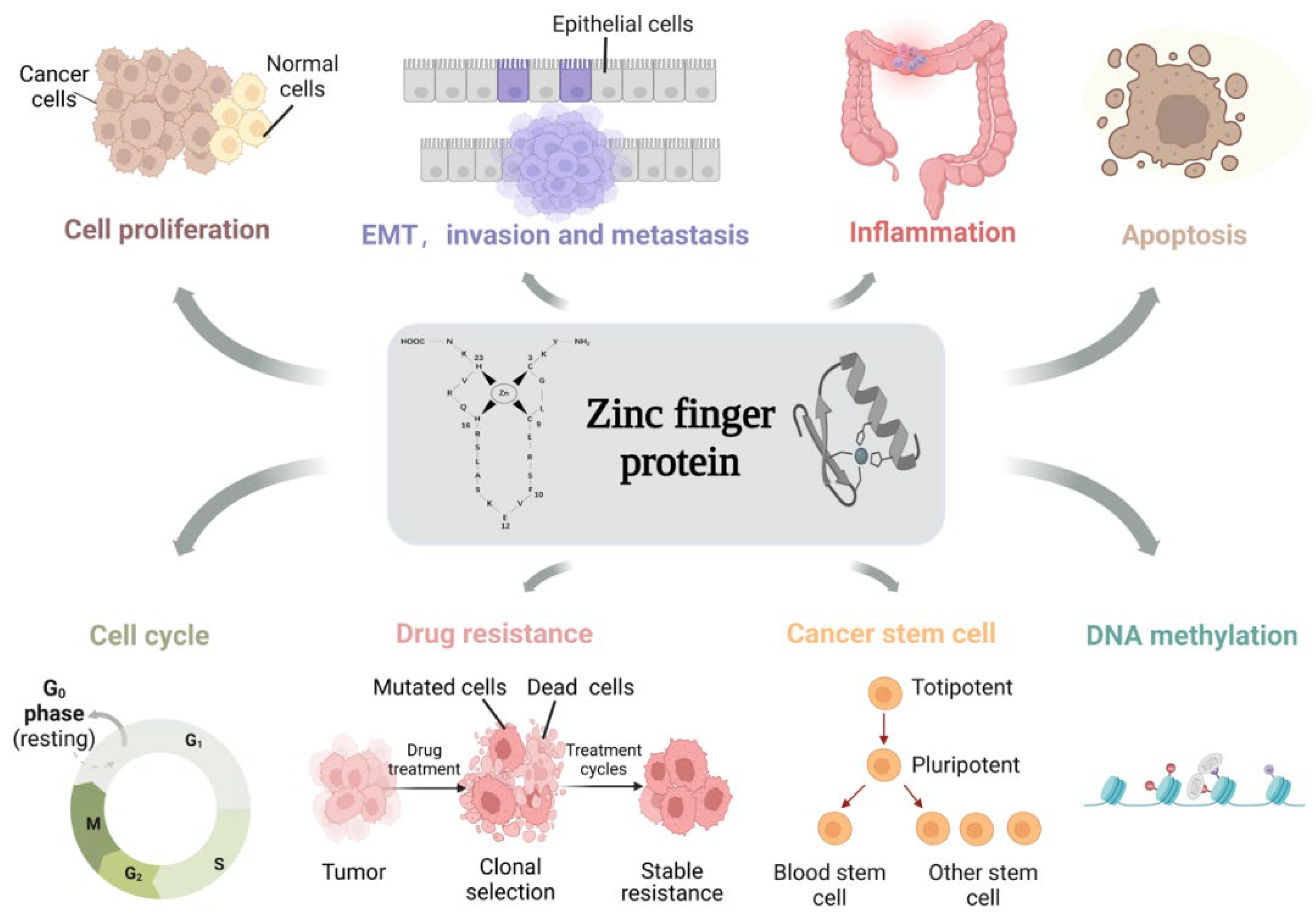 Cancers 14 05242 g001 Cancers 14 05242 g001