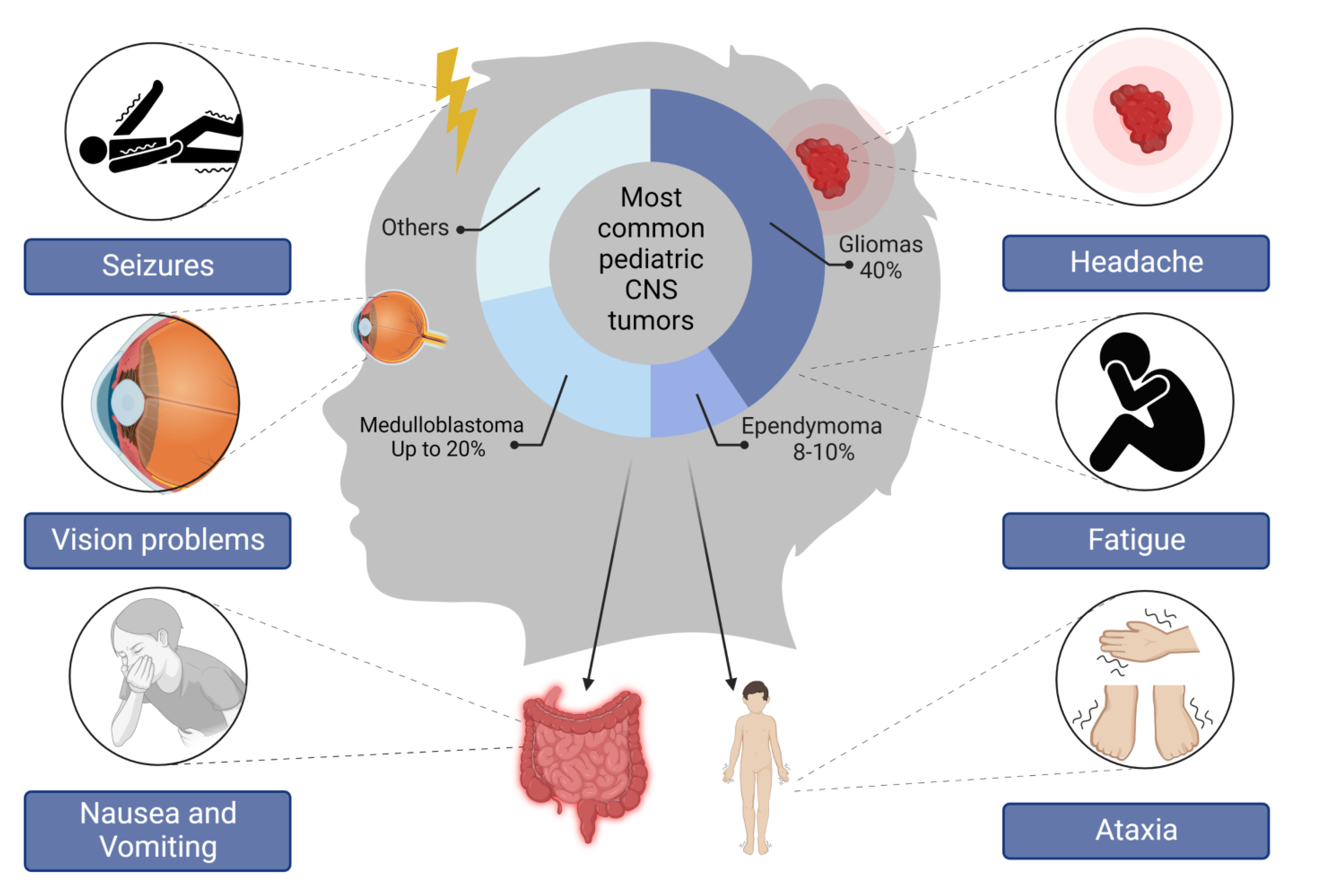Cancers 14 05244 g001