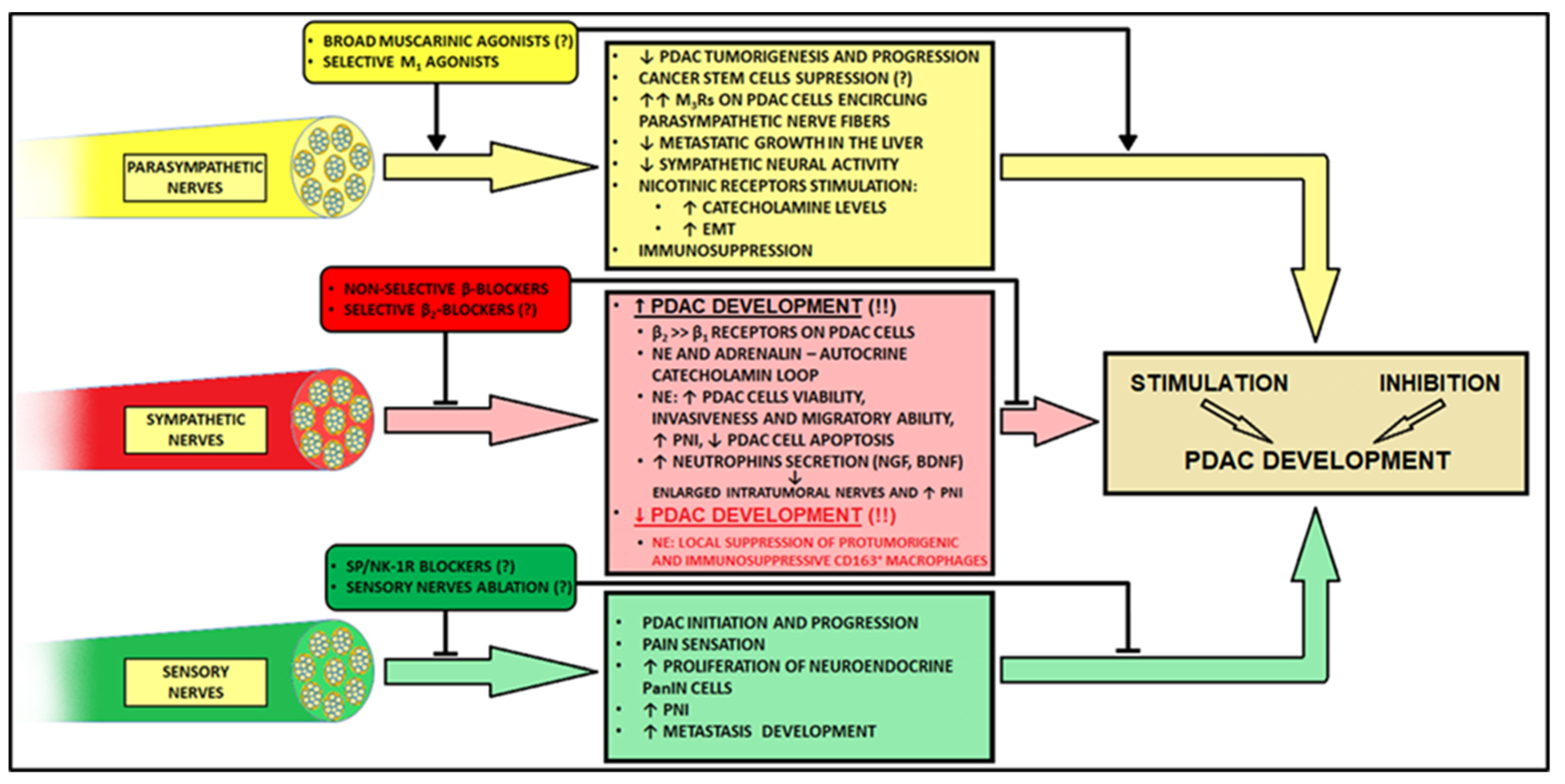Cancers 14 05246 g002 Cancers 14 05246 g002