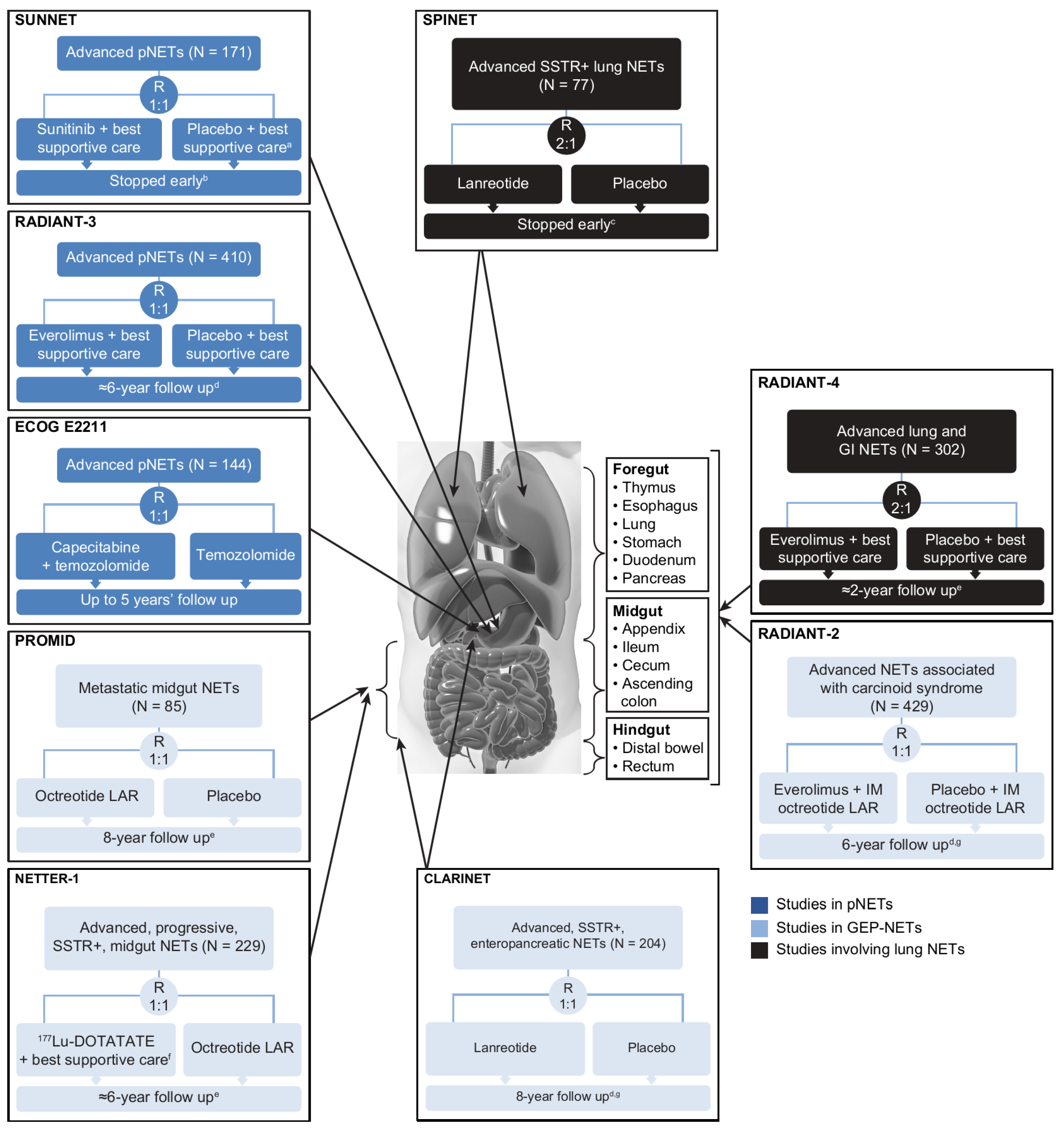 Cancers 14 05248 g002