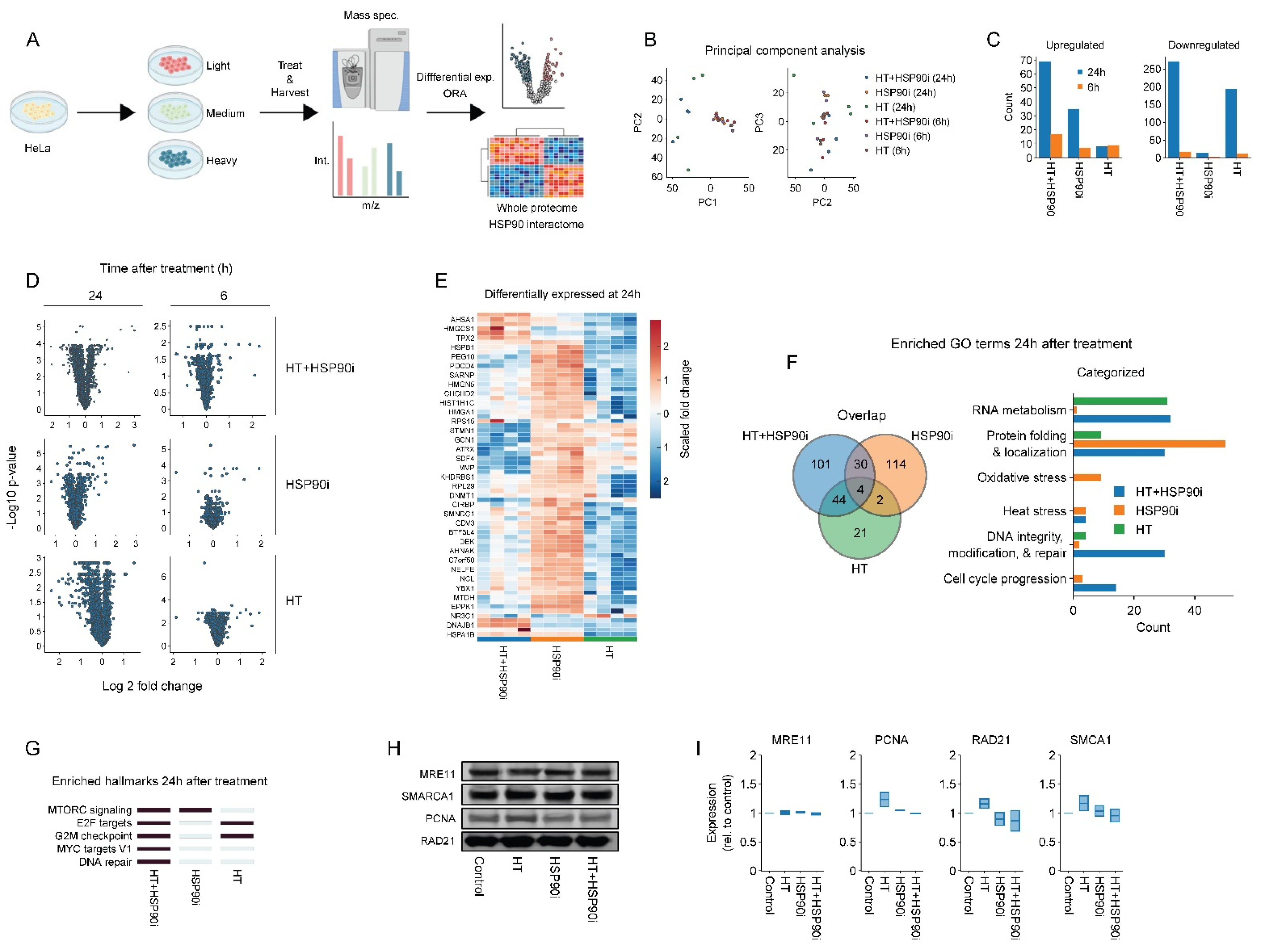 Cancers 14 05250 g004 Cancers 14 05250 g004