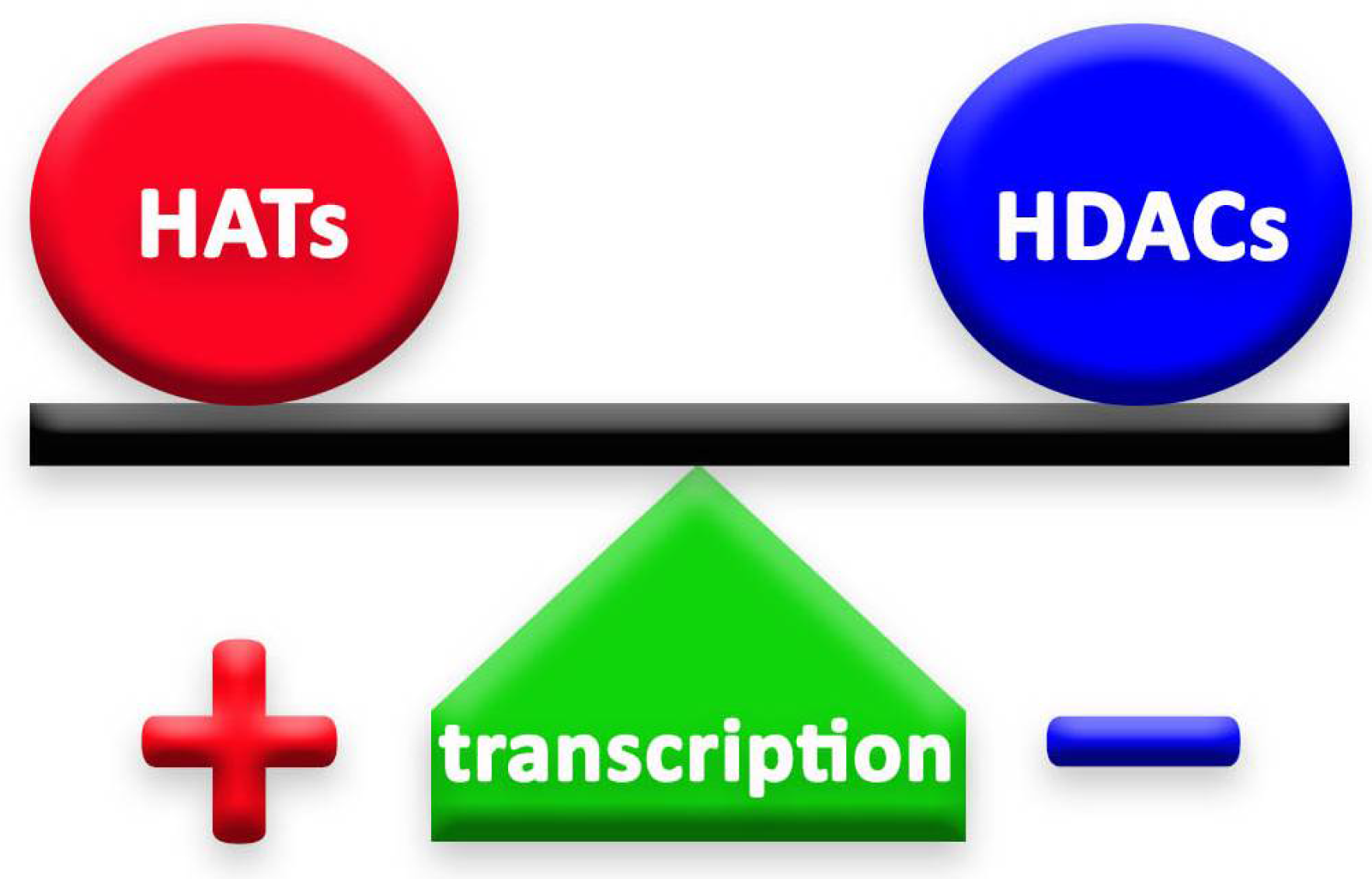 Cancers 14 05251 g001