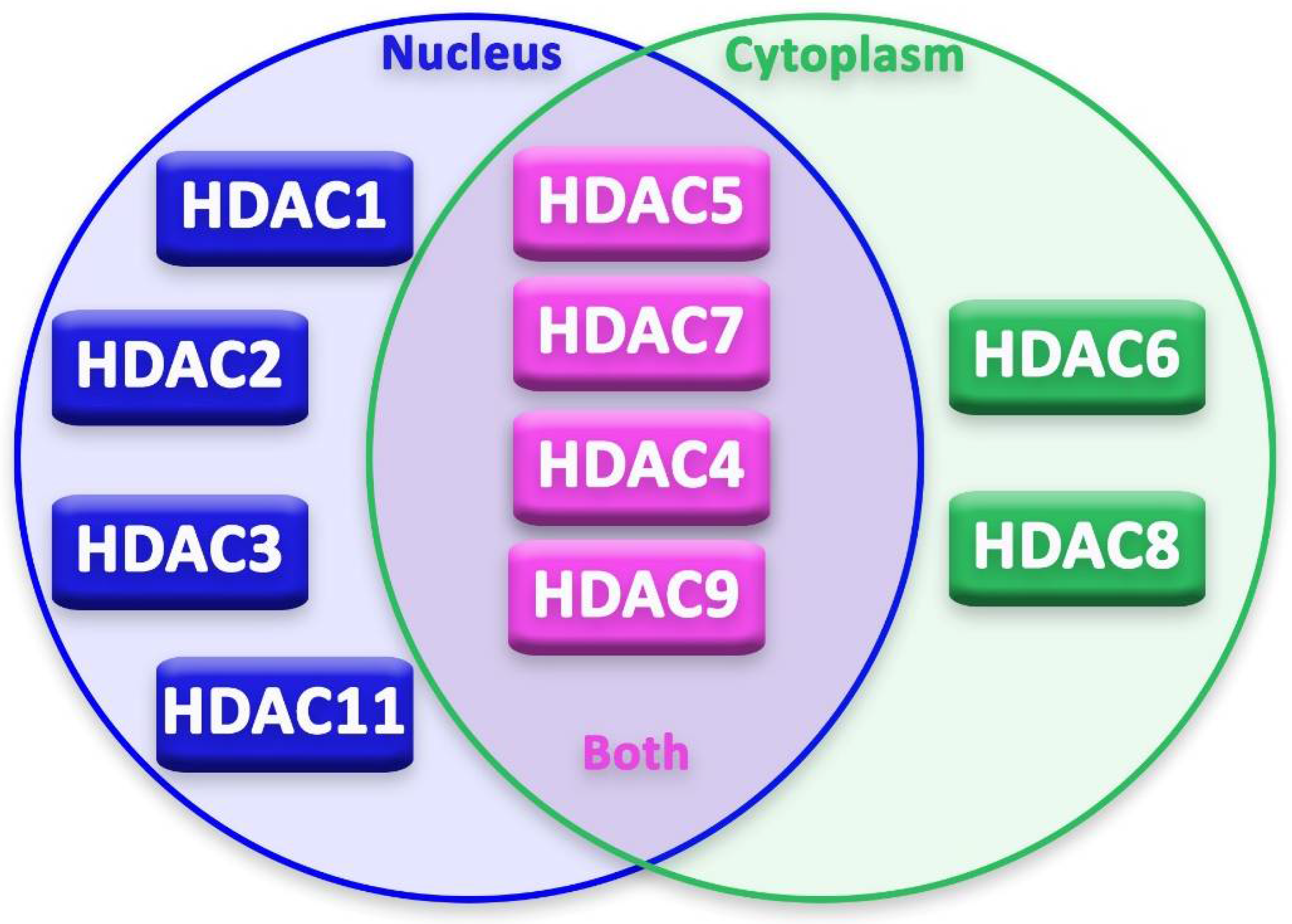 Cancers 14 05251 g002