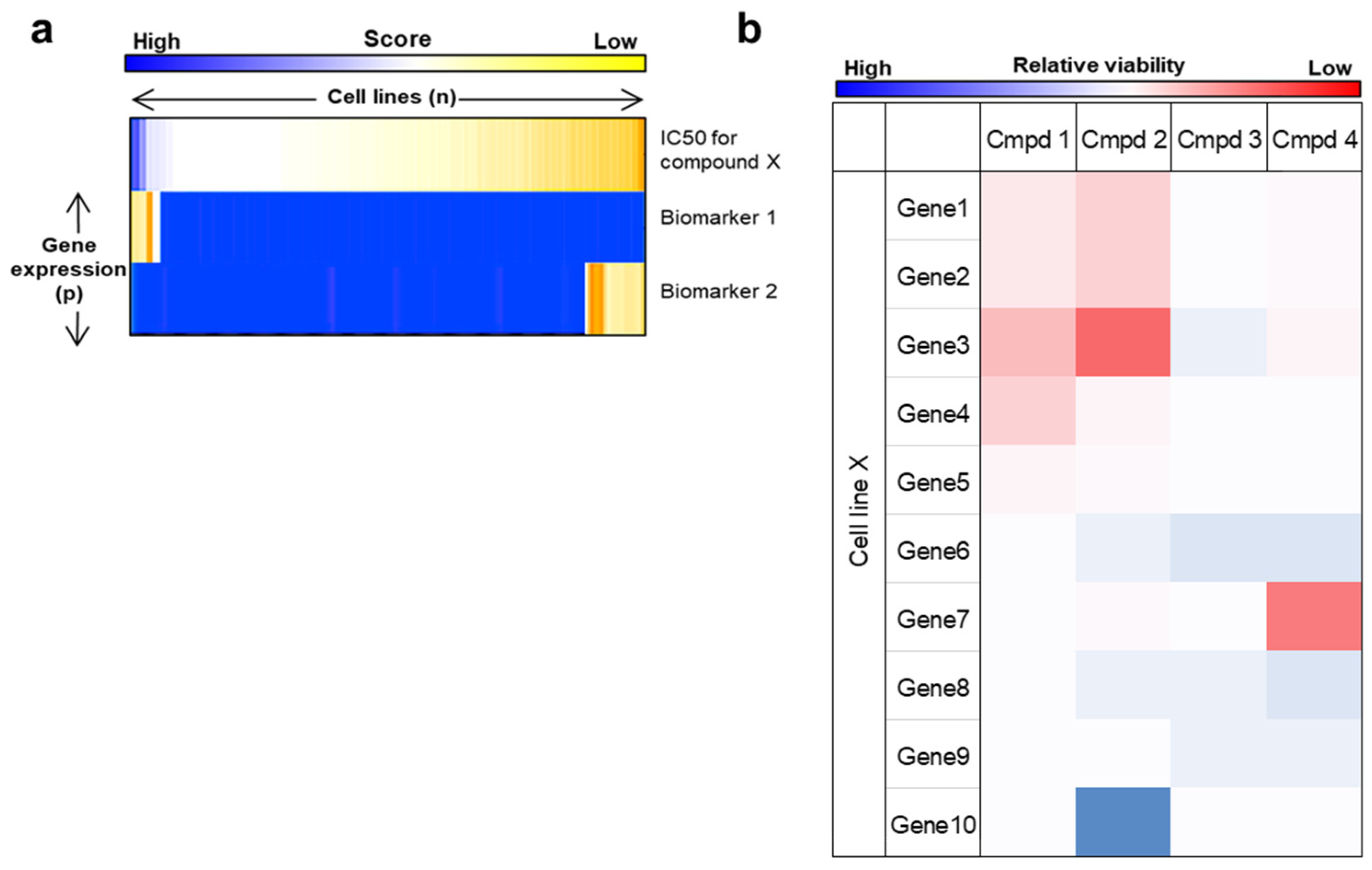Cancers 14 05254 g004