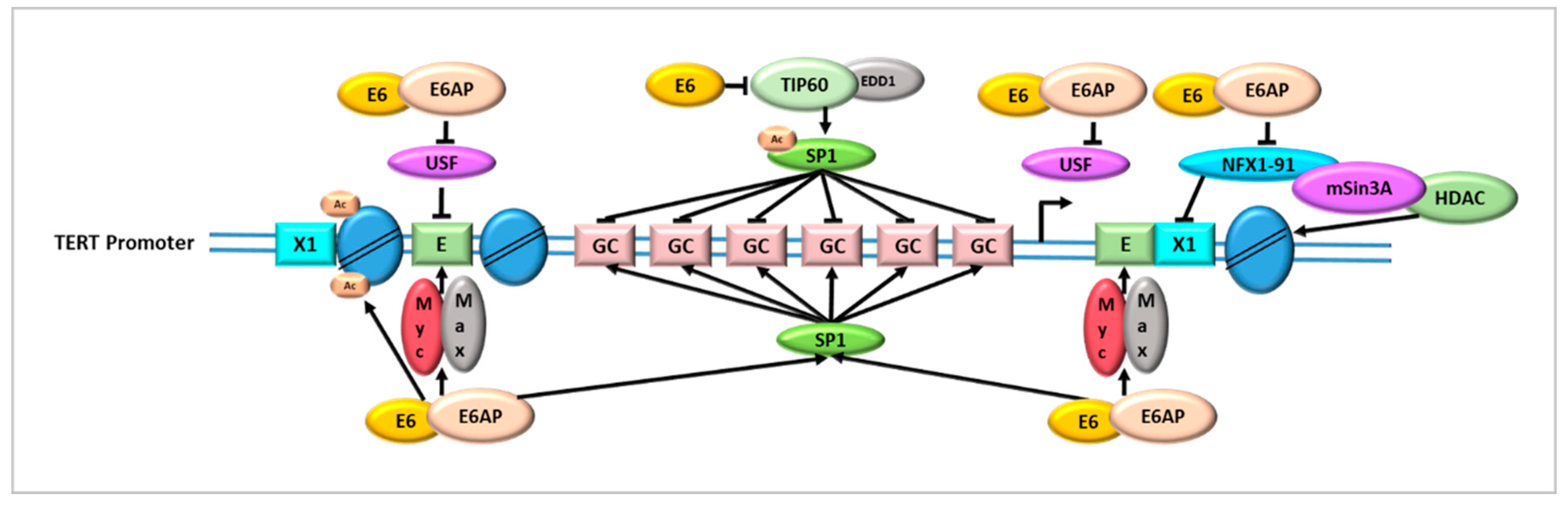 Cancers 14 05257 g001