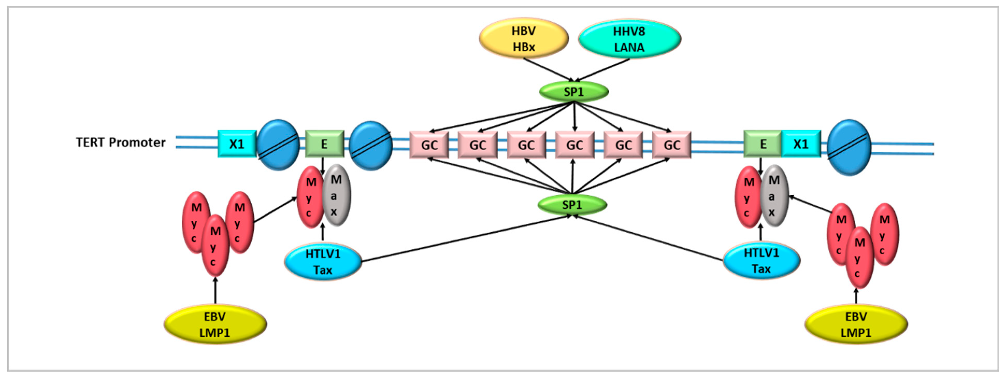 Cancers 14 05257 g002