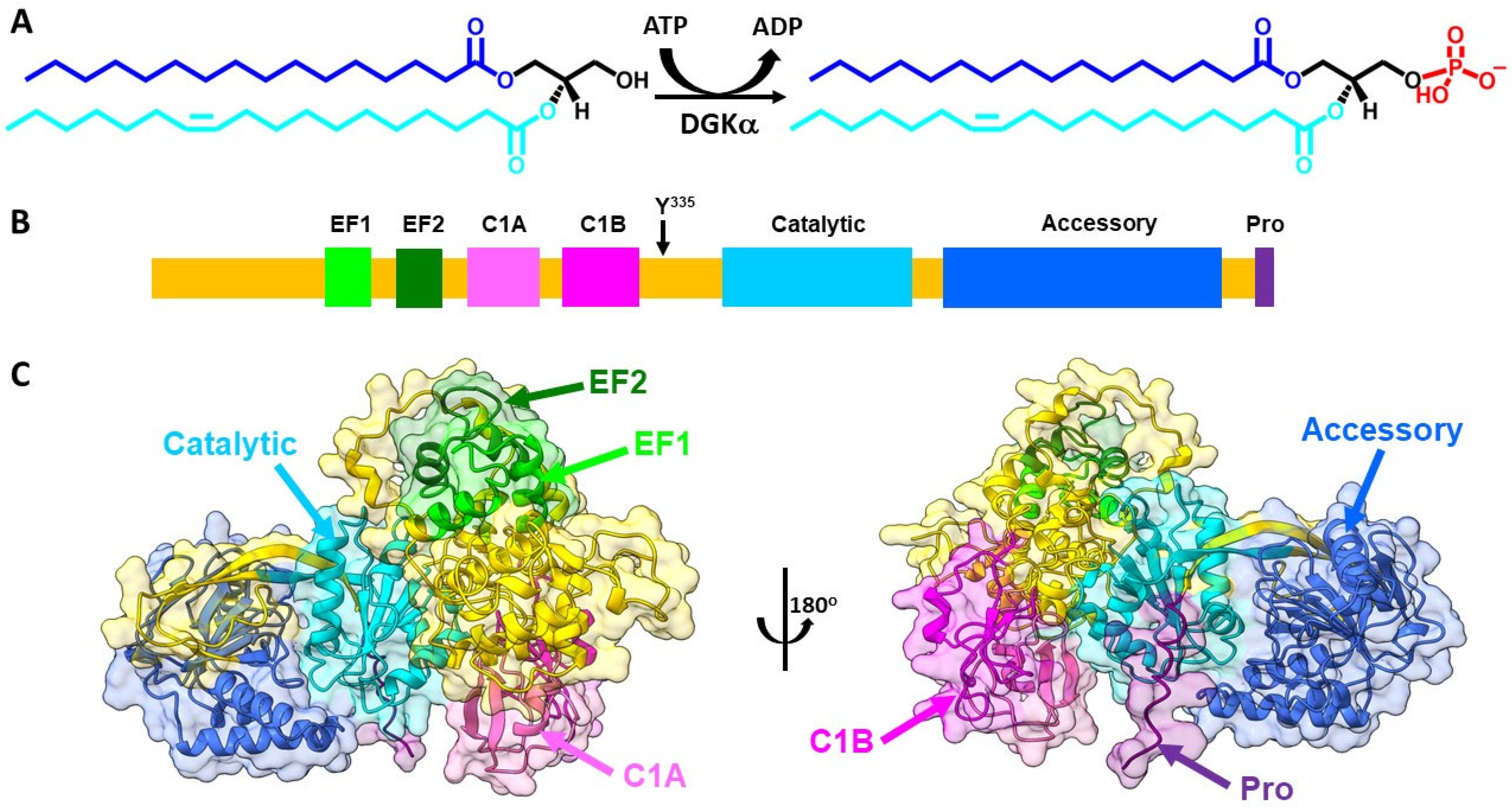 Cancers 14 05259 g001