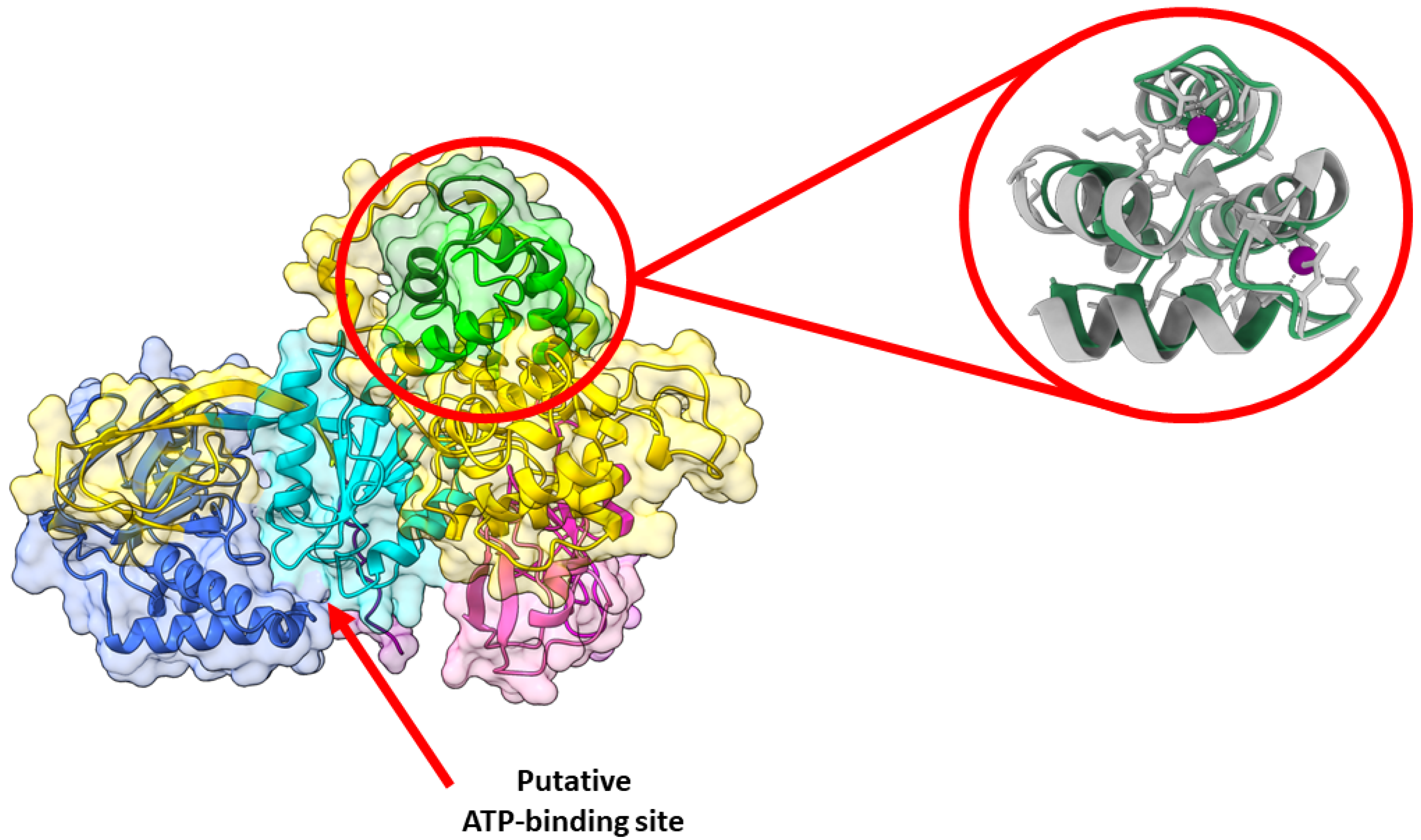 Cancers 14 05259 g003