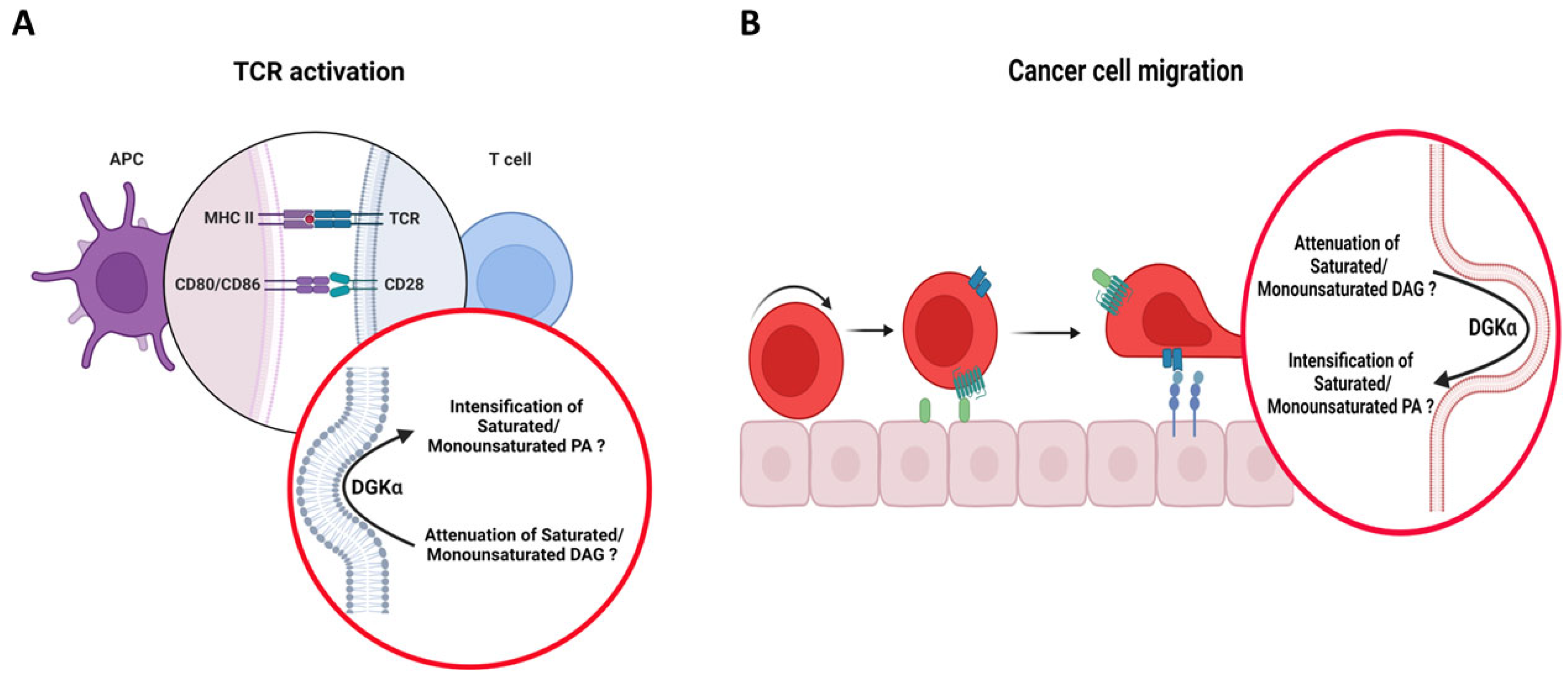 Cancers 14 05259 g005