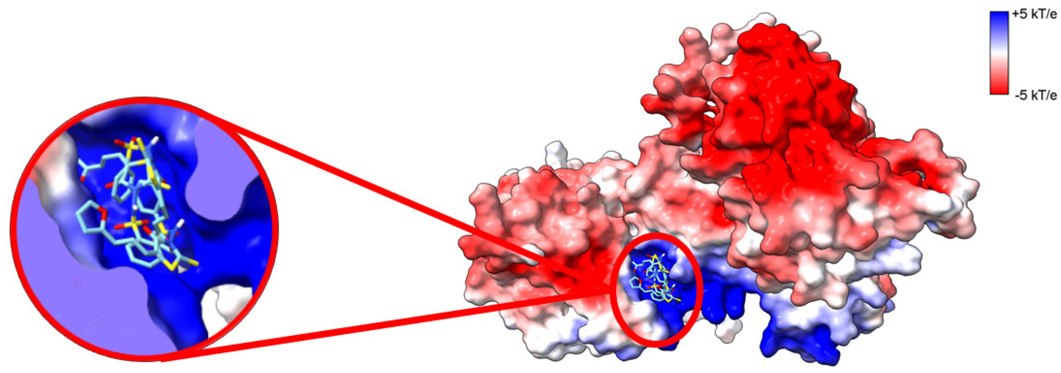 Cancers 14 05259 g006