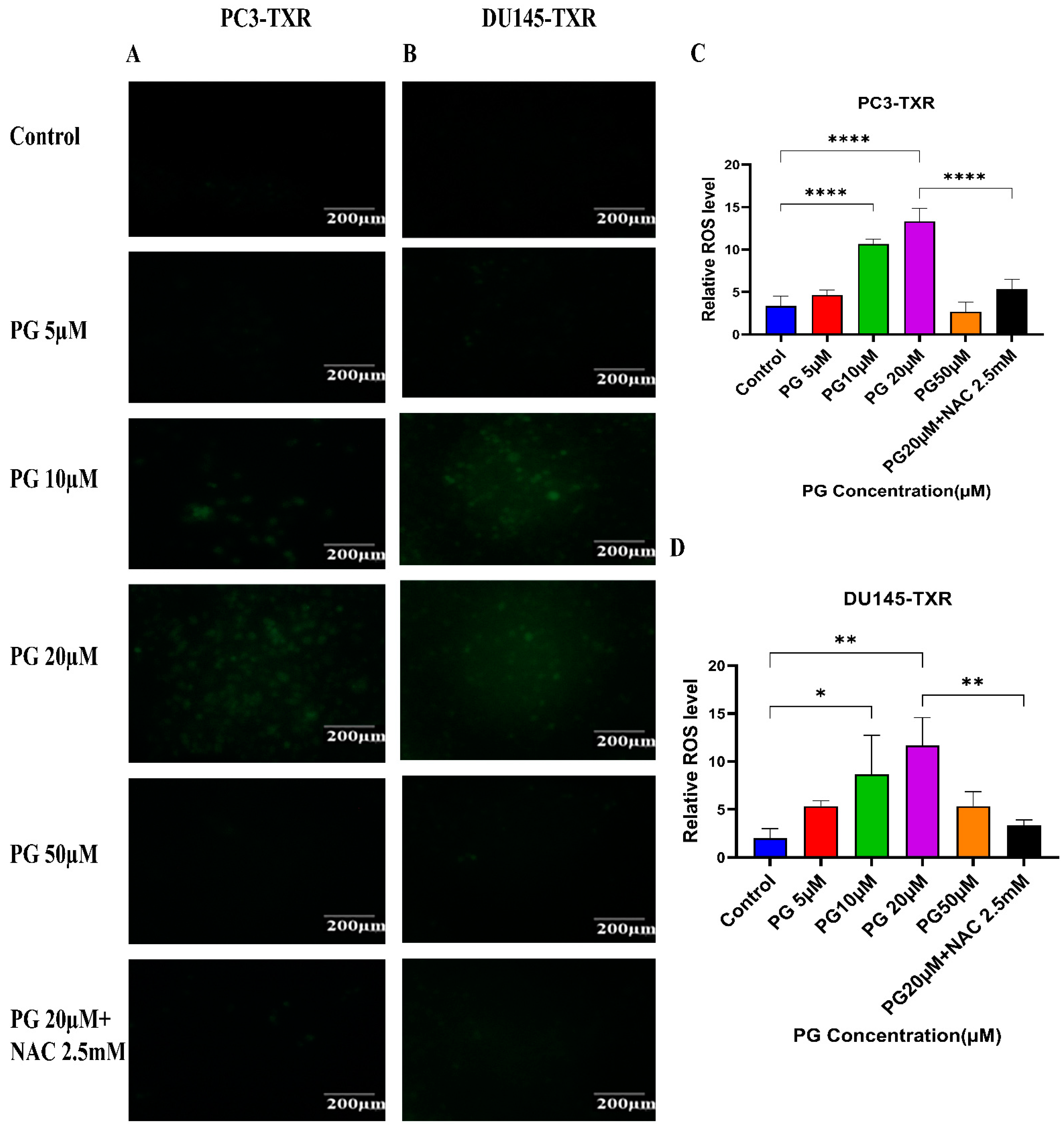 Cancers 14 05260 g010