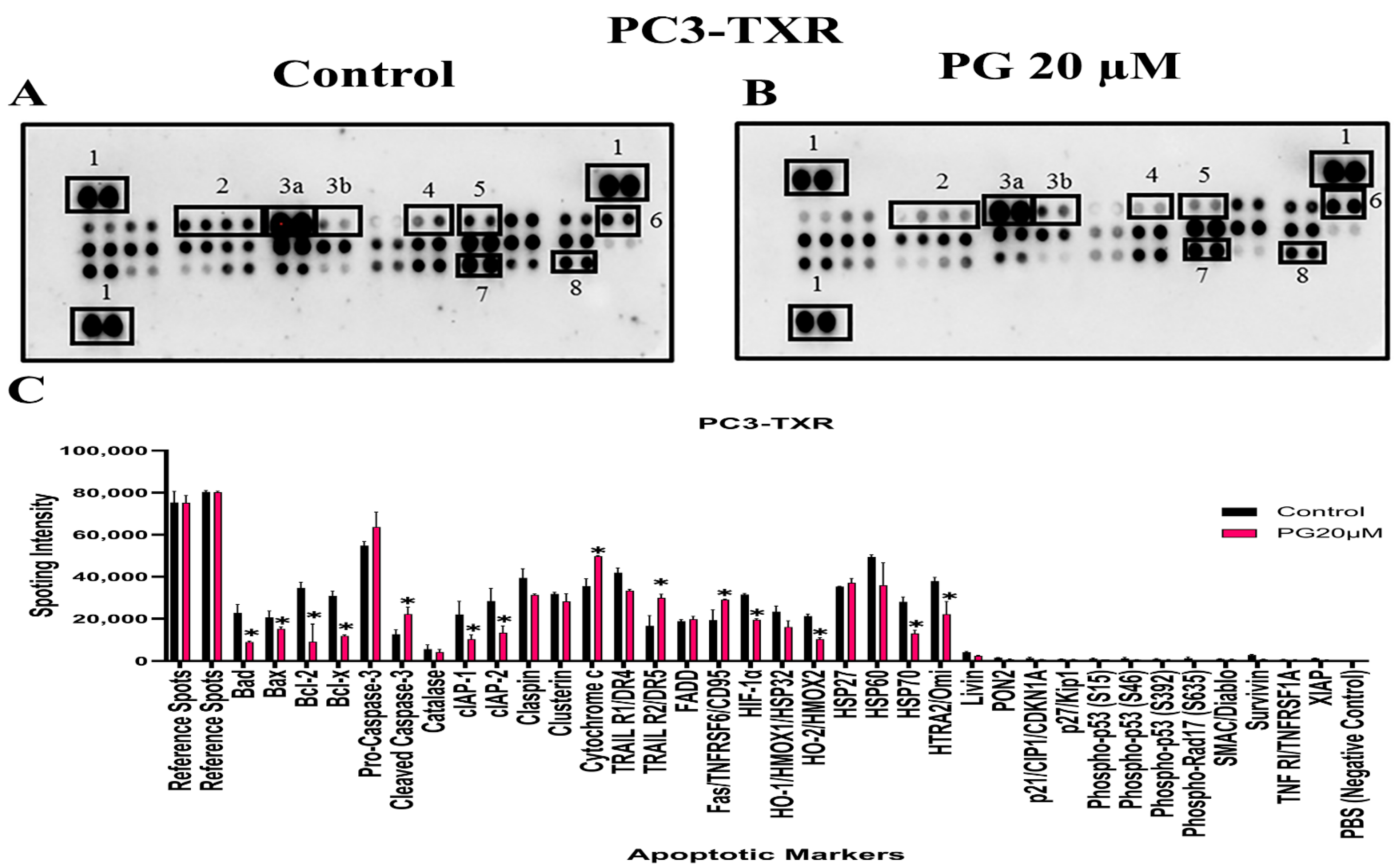 Cancers 14 05260 g012