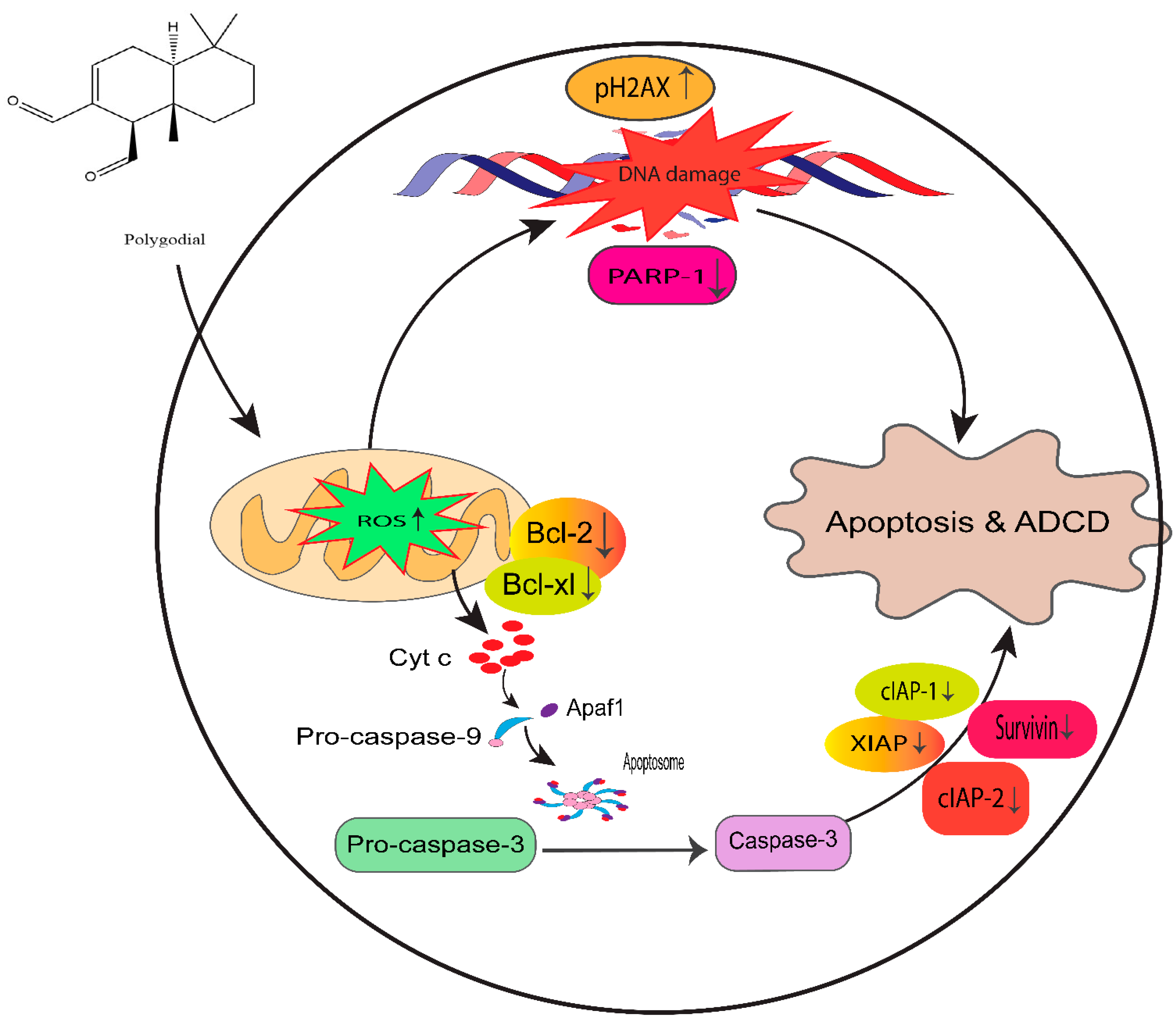 Cancers 14 05260 g014