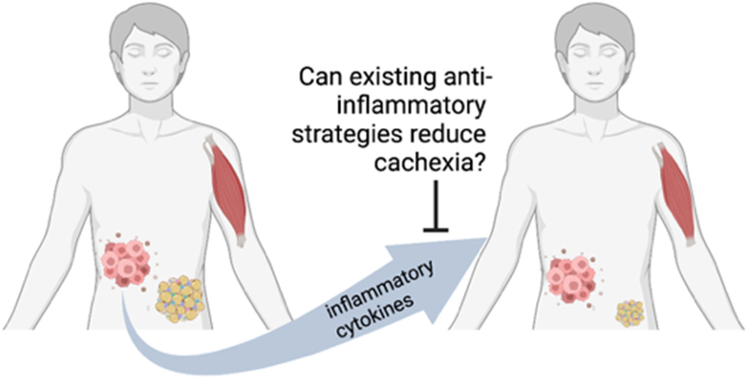 Cancers 14 05262 g001