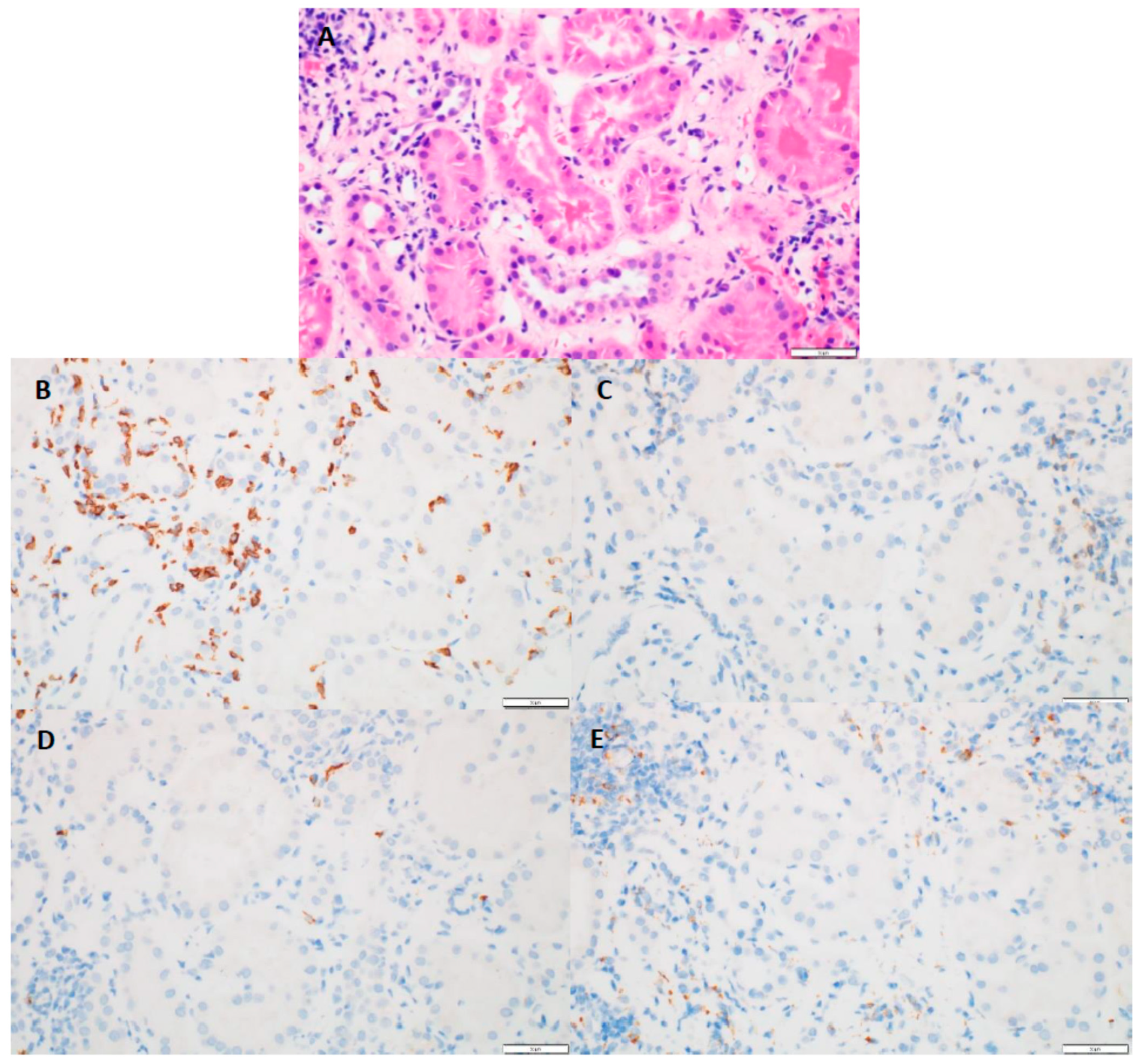 Cancers 14 05267 g002