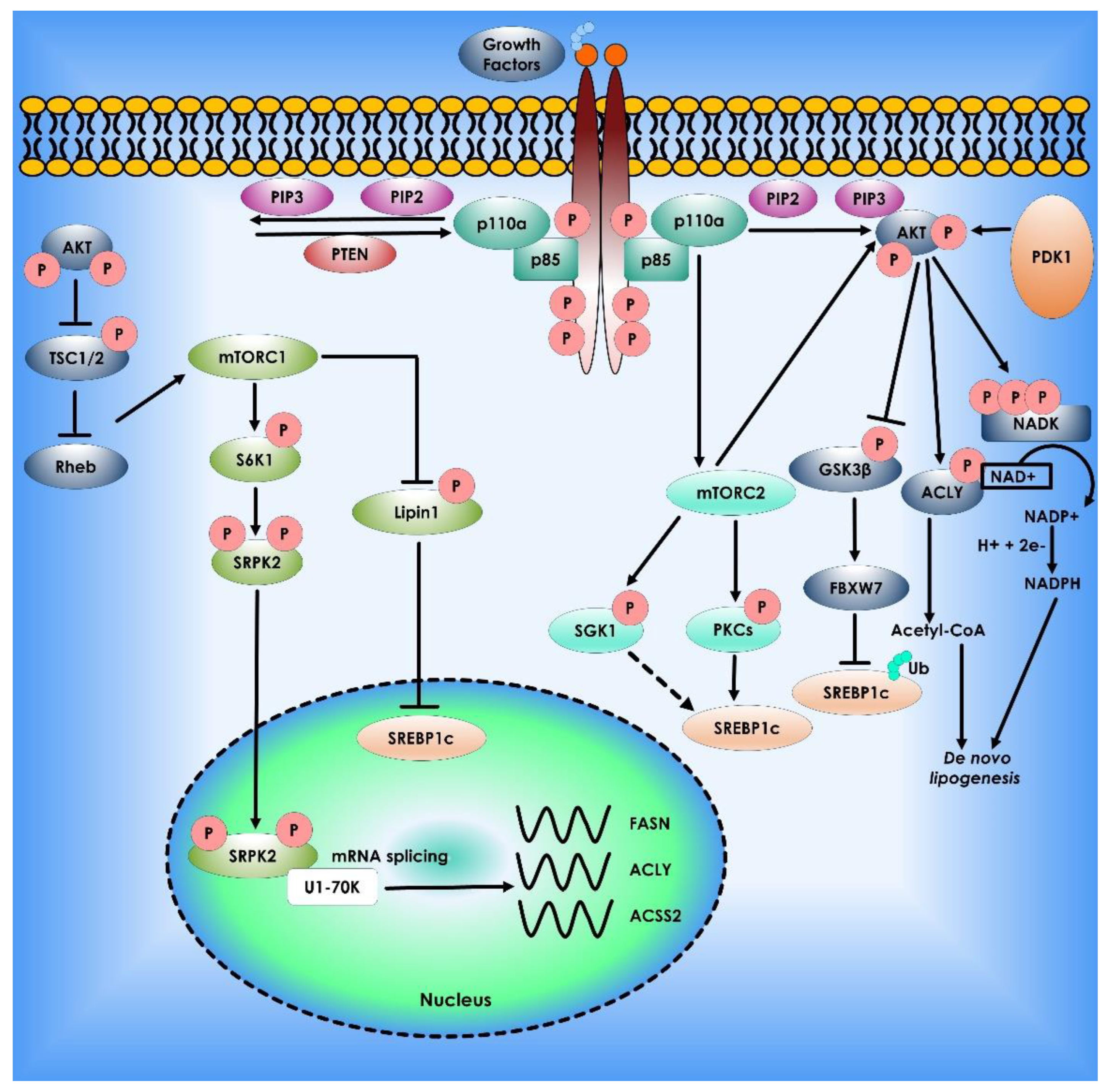 Cancers 14 05268 g003