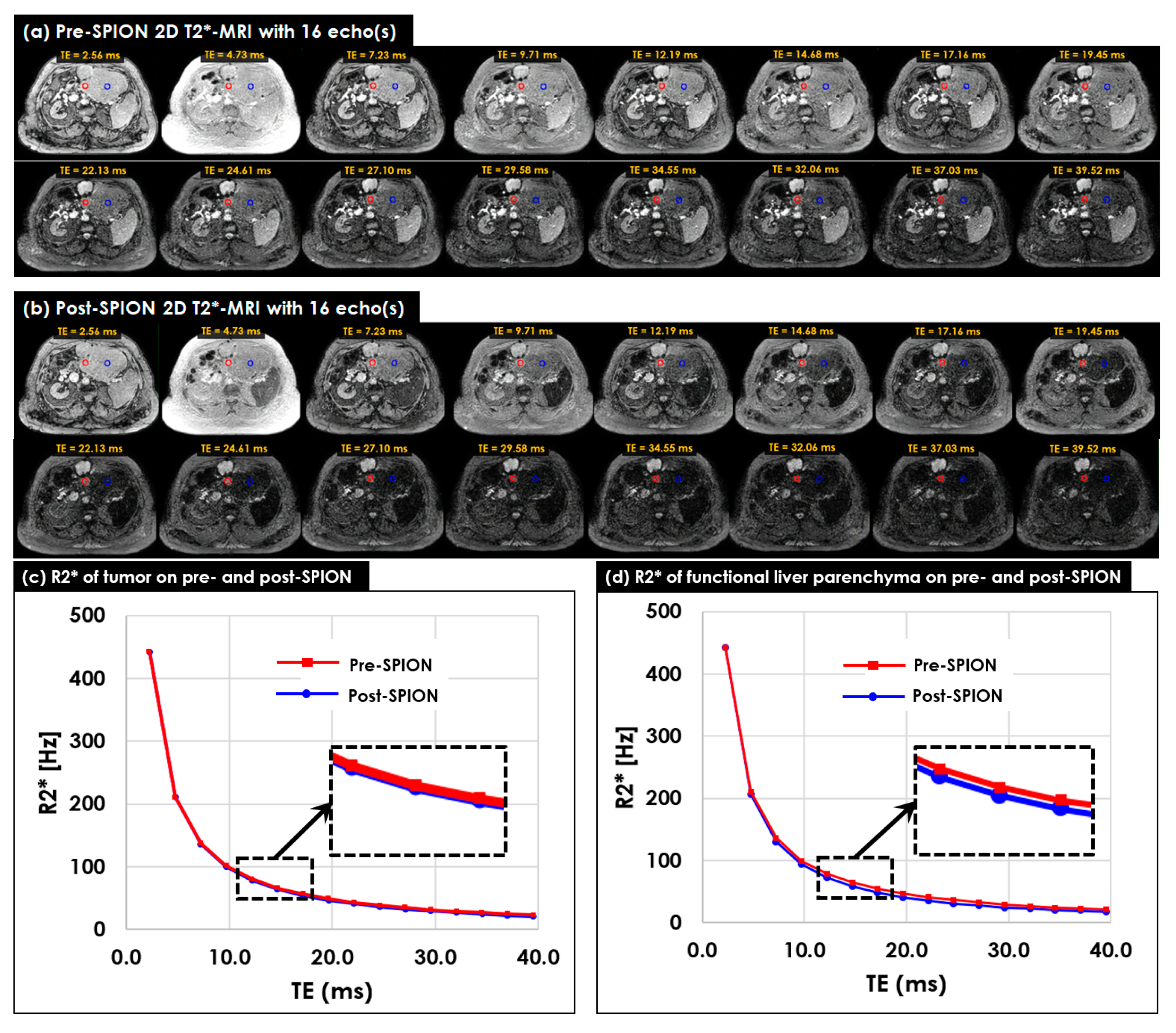 Cancers 14 05269 g003