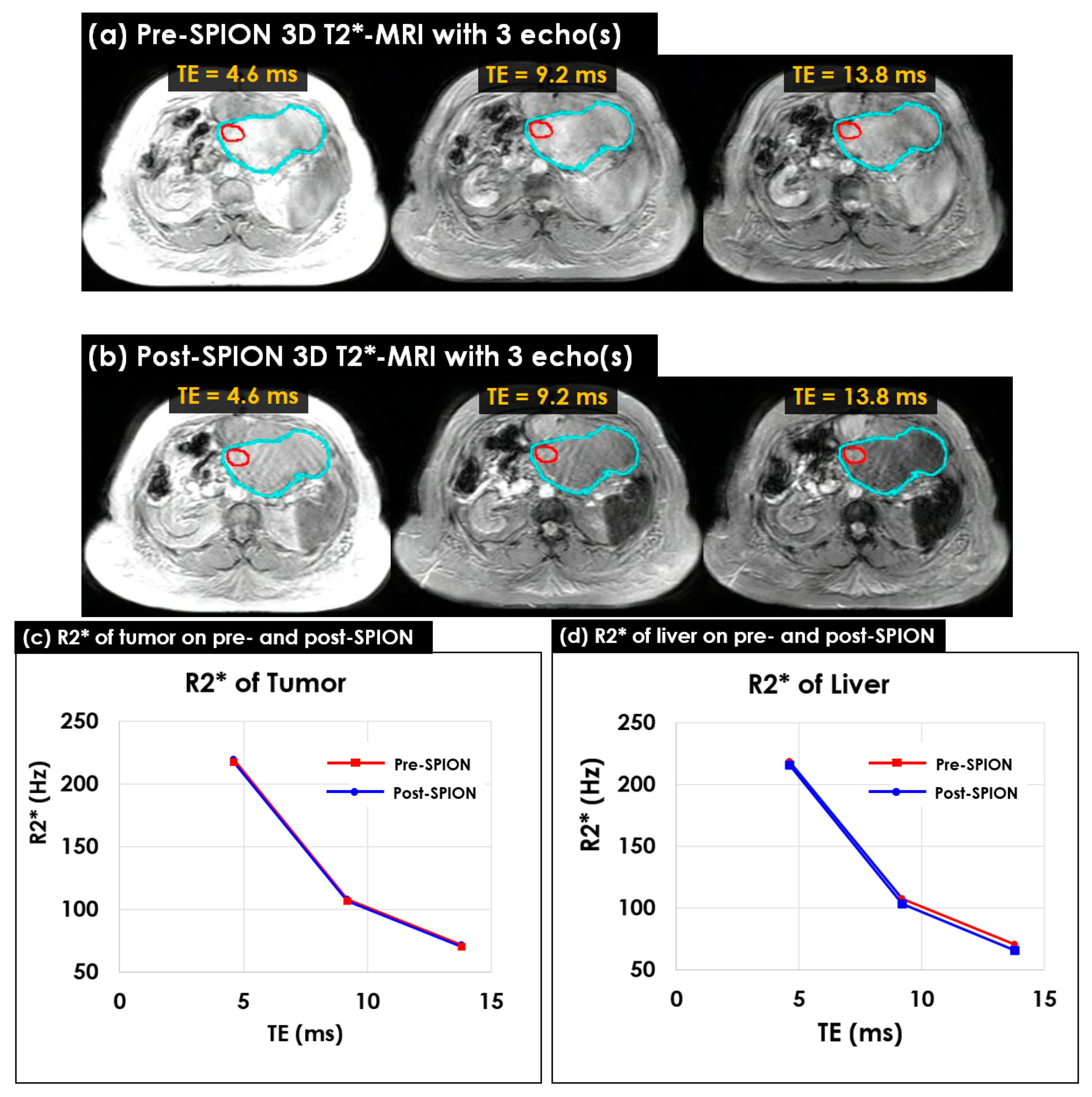 Cancers 14 05269 g004