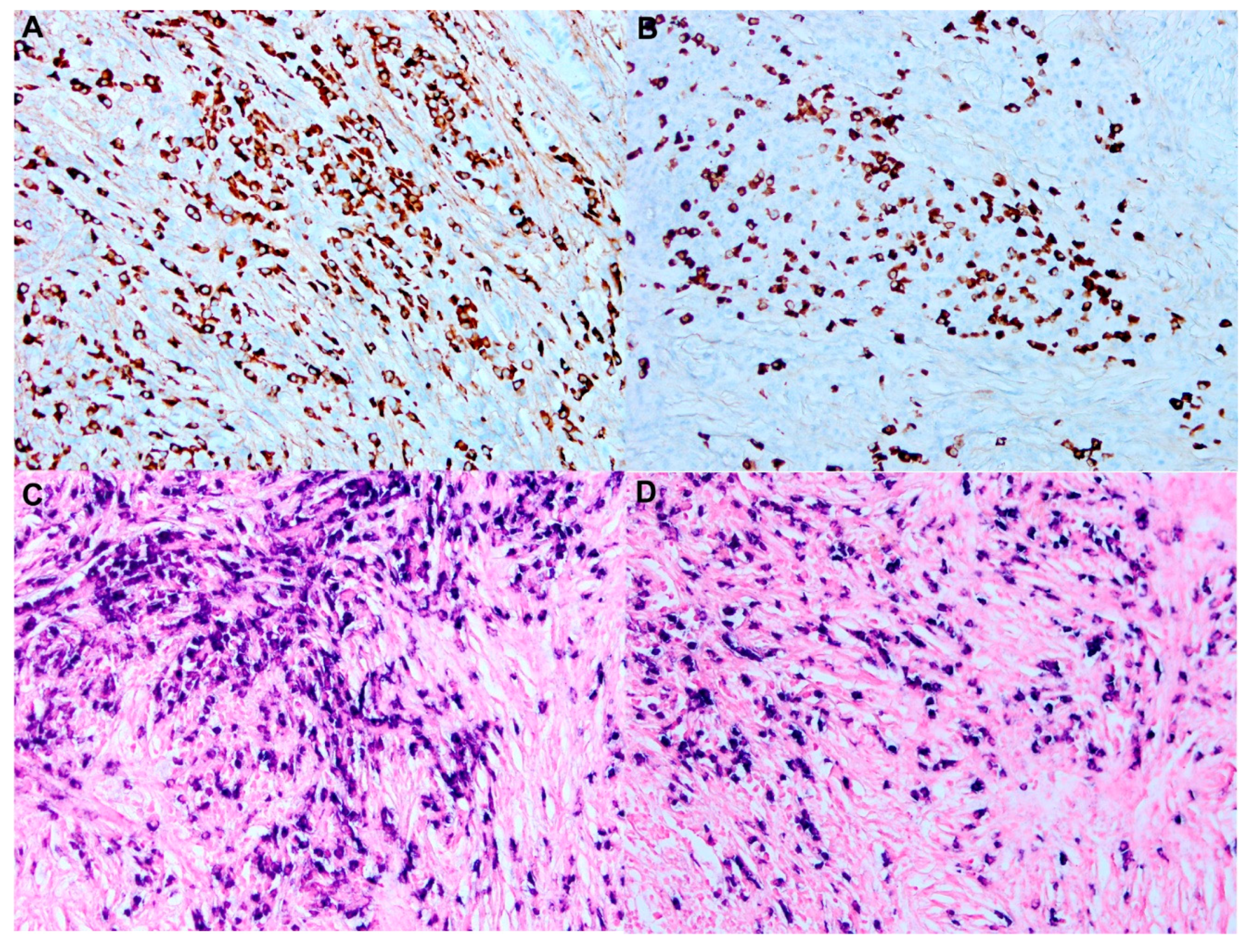 Cancers 14 05271 g003