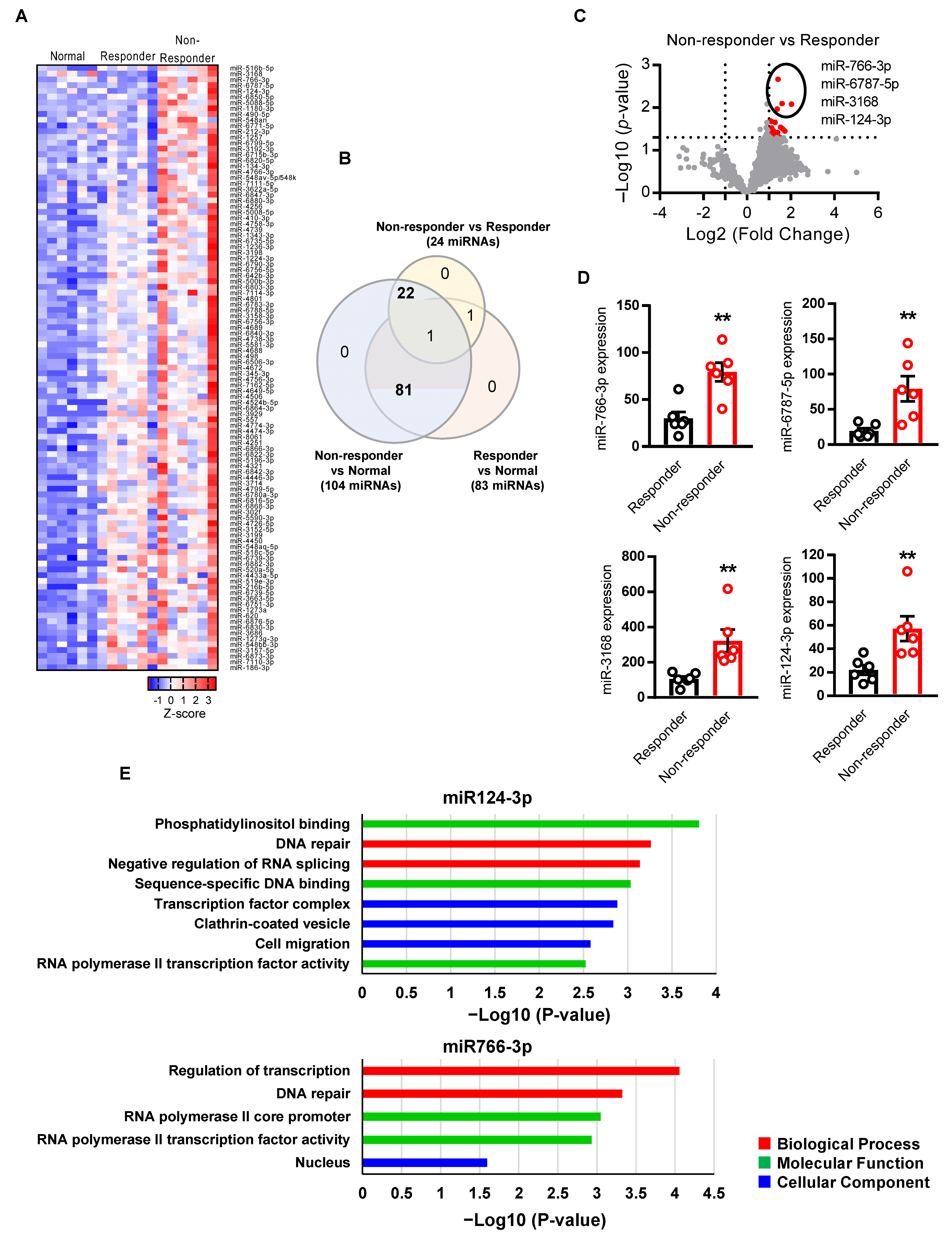 Cancers 14 05273 g001