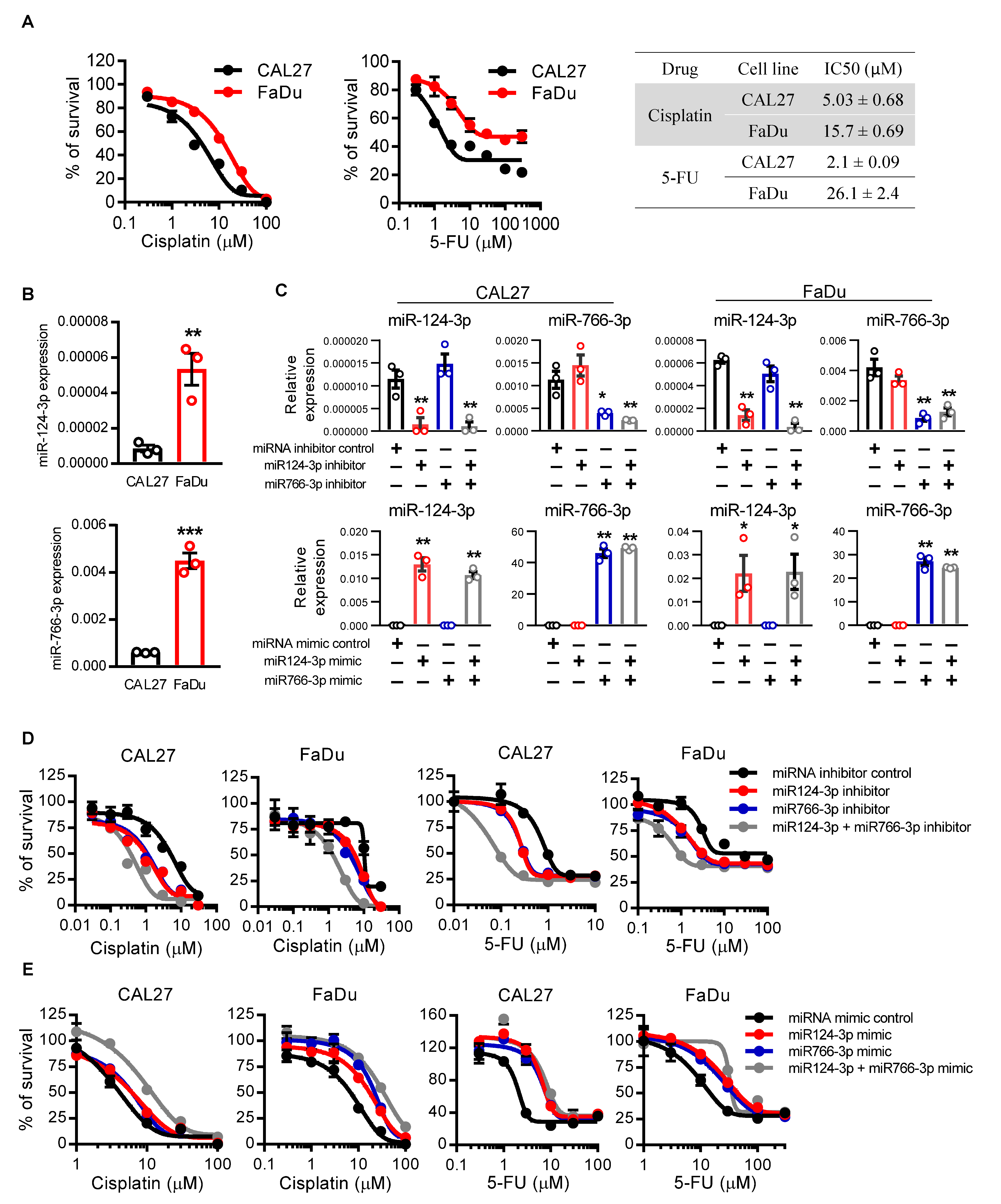Cancers 14 05273 g002