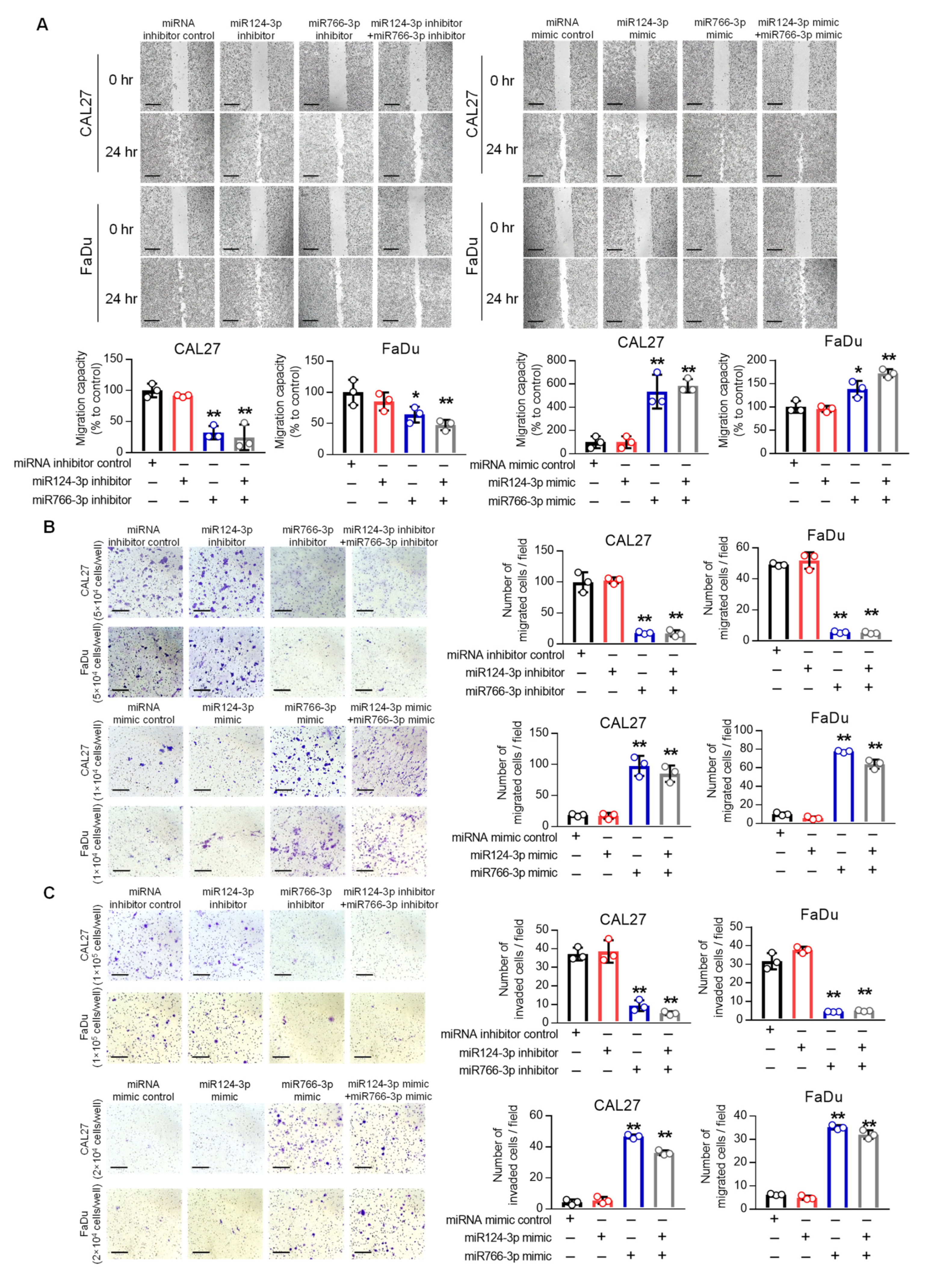 Cancers 14 05273 g004