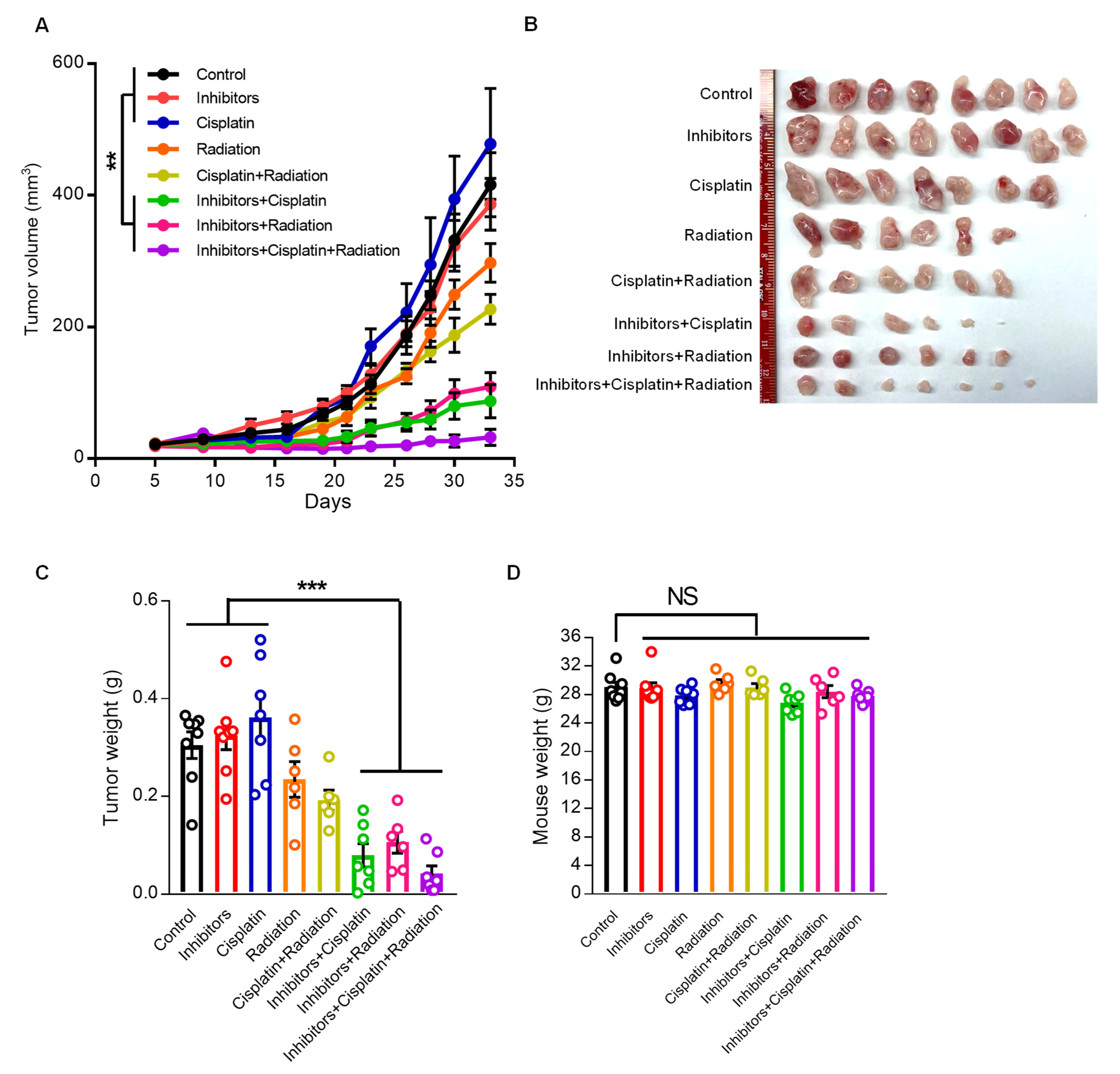Cancers 14 05273 g007
