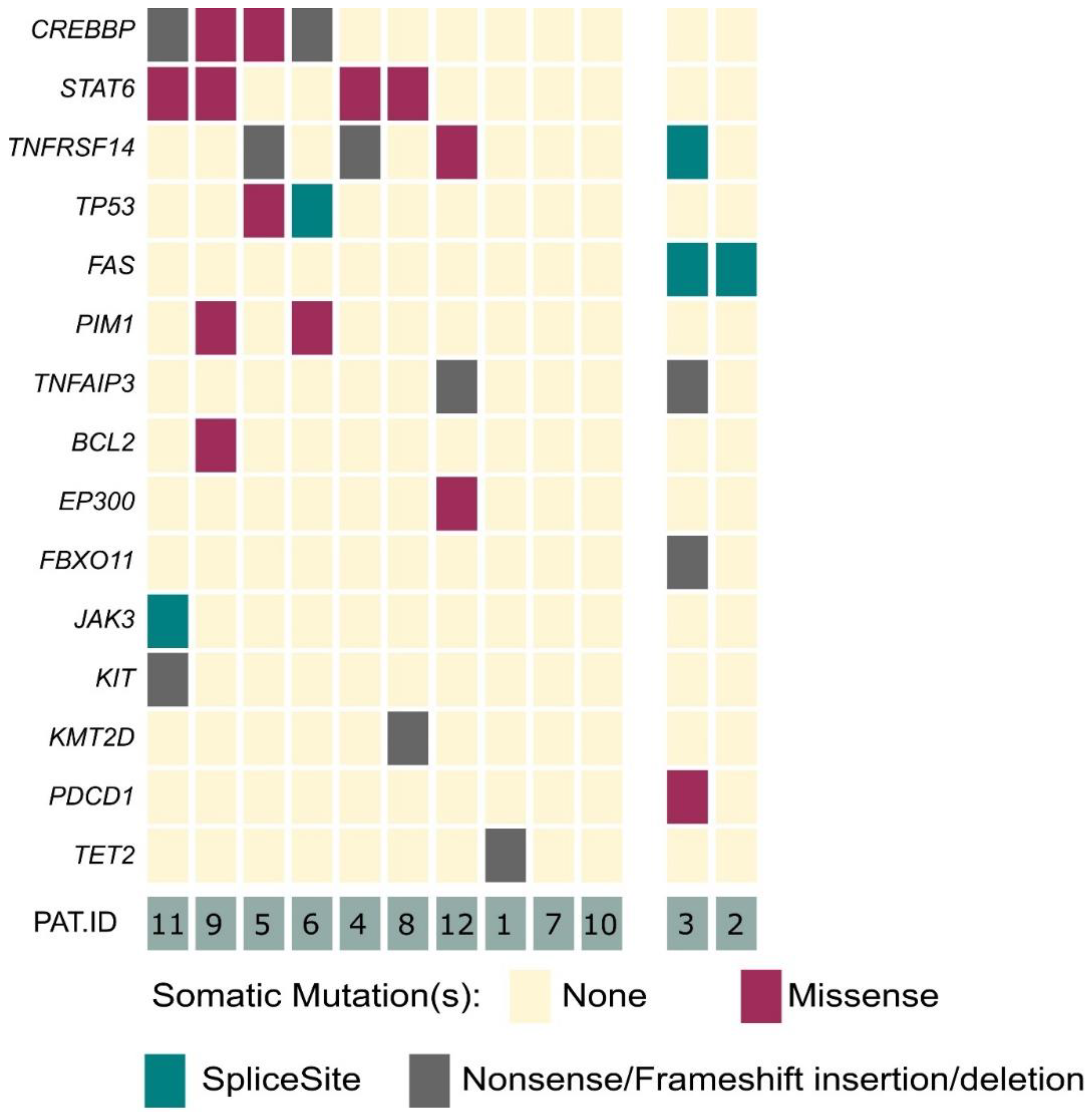 Cancers 14 05274 g001 Cancers 14 05274 g001