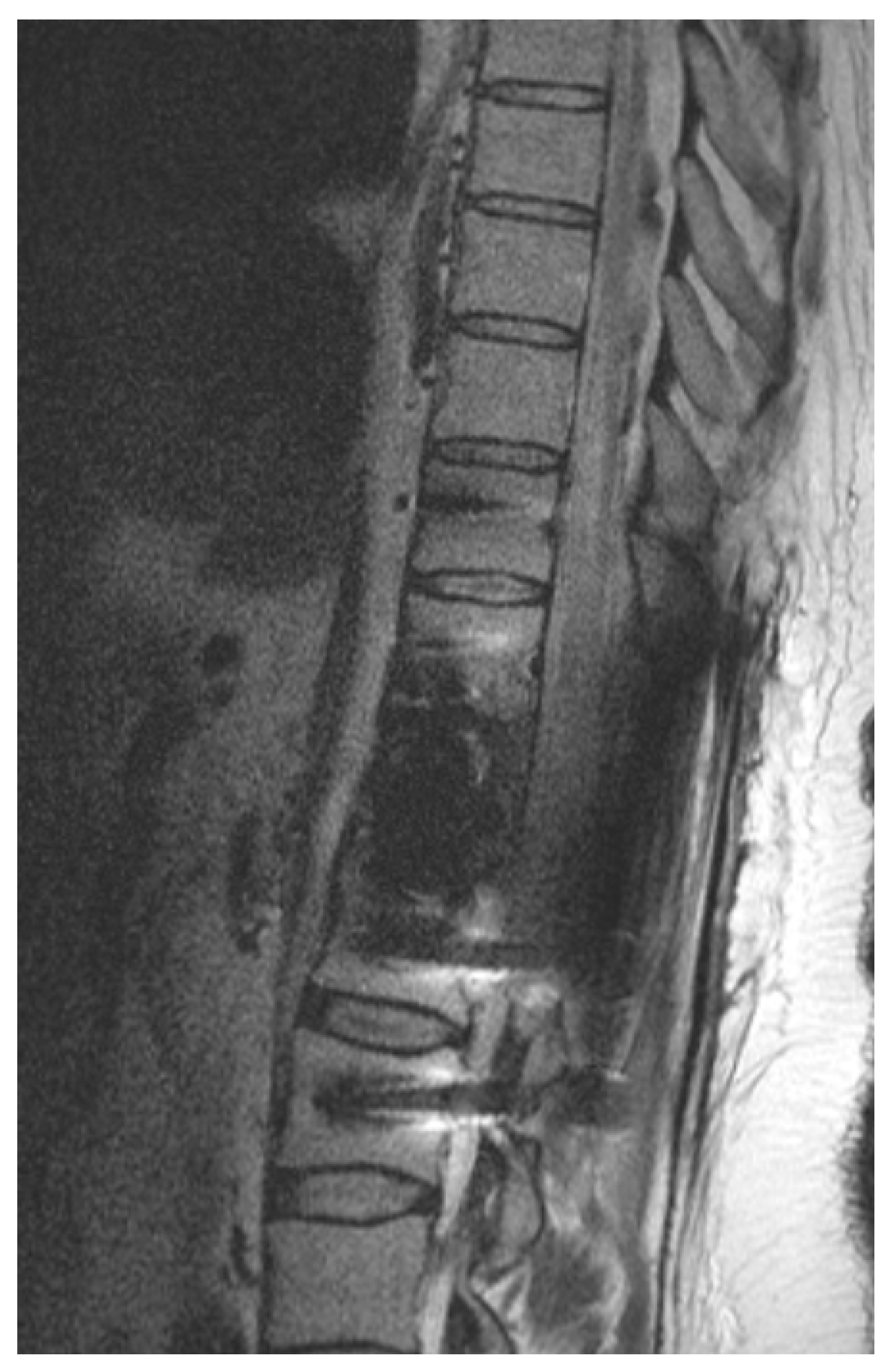 Cancers 14 05275 g002