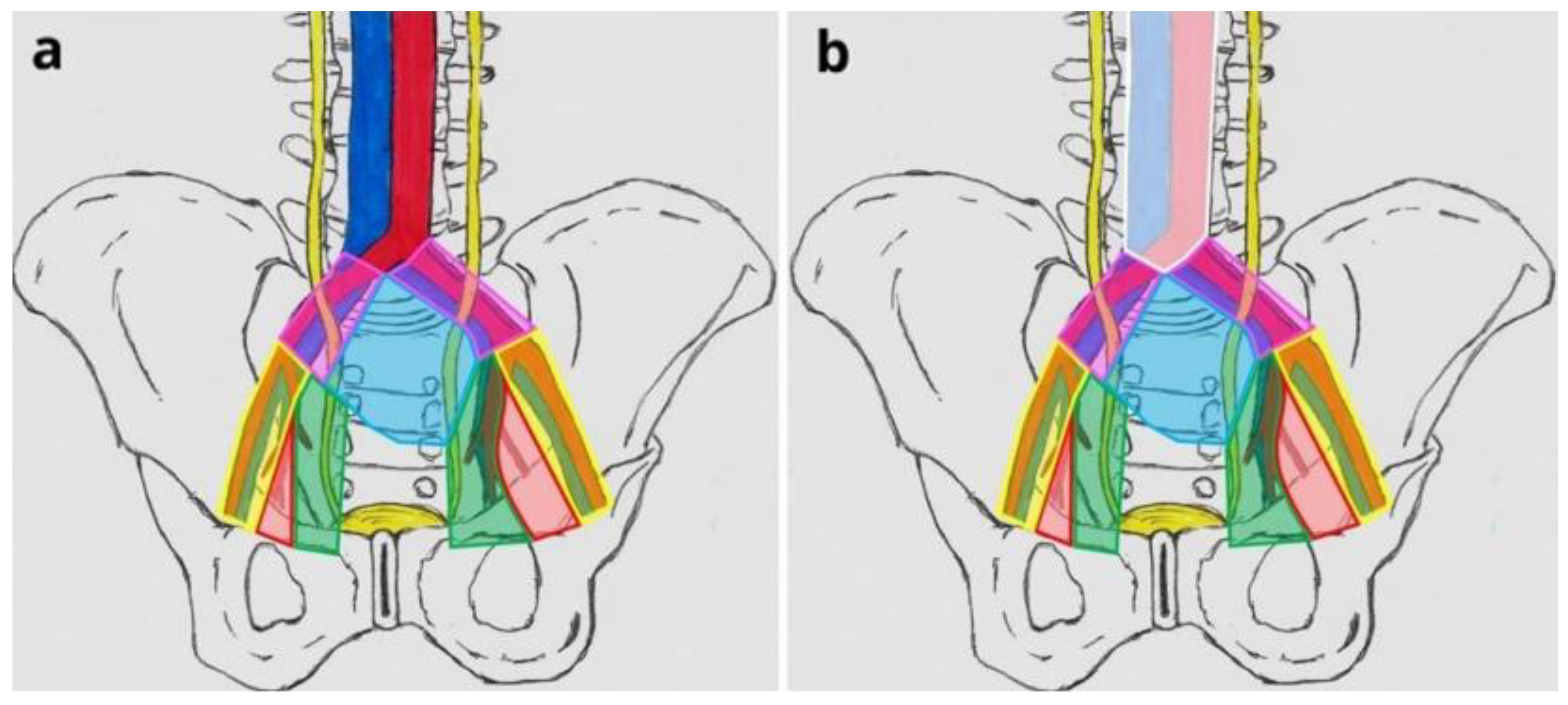 Cancers 14 05286 g001